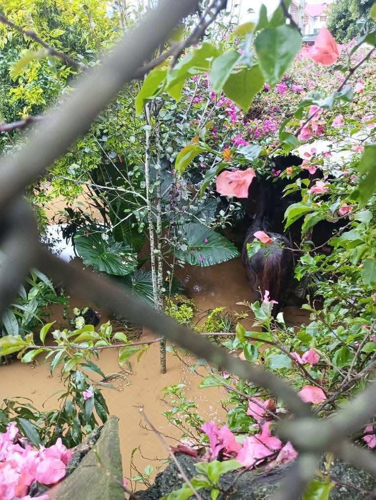 Help Family Rebuild After a Devastating Flood in Puebla. campaign photo, 6 of 8