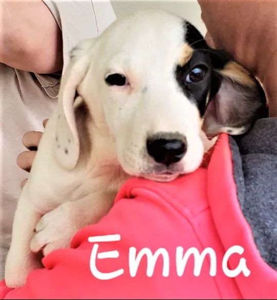 Help Emma Walk Again: Support Her ACL Surgery campaign photo, 2 of 4
