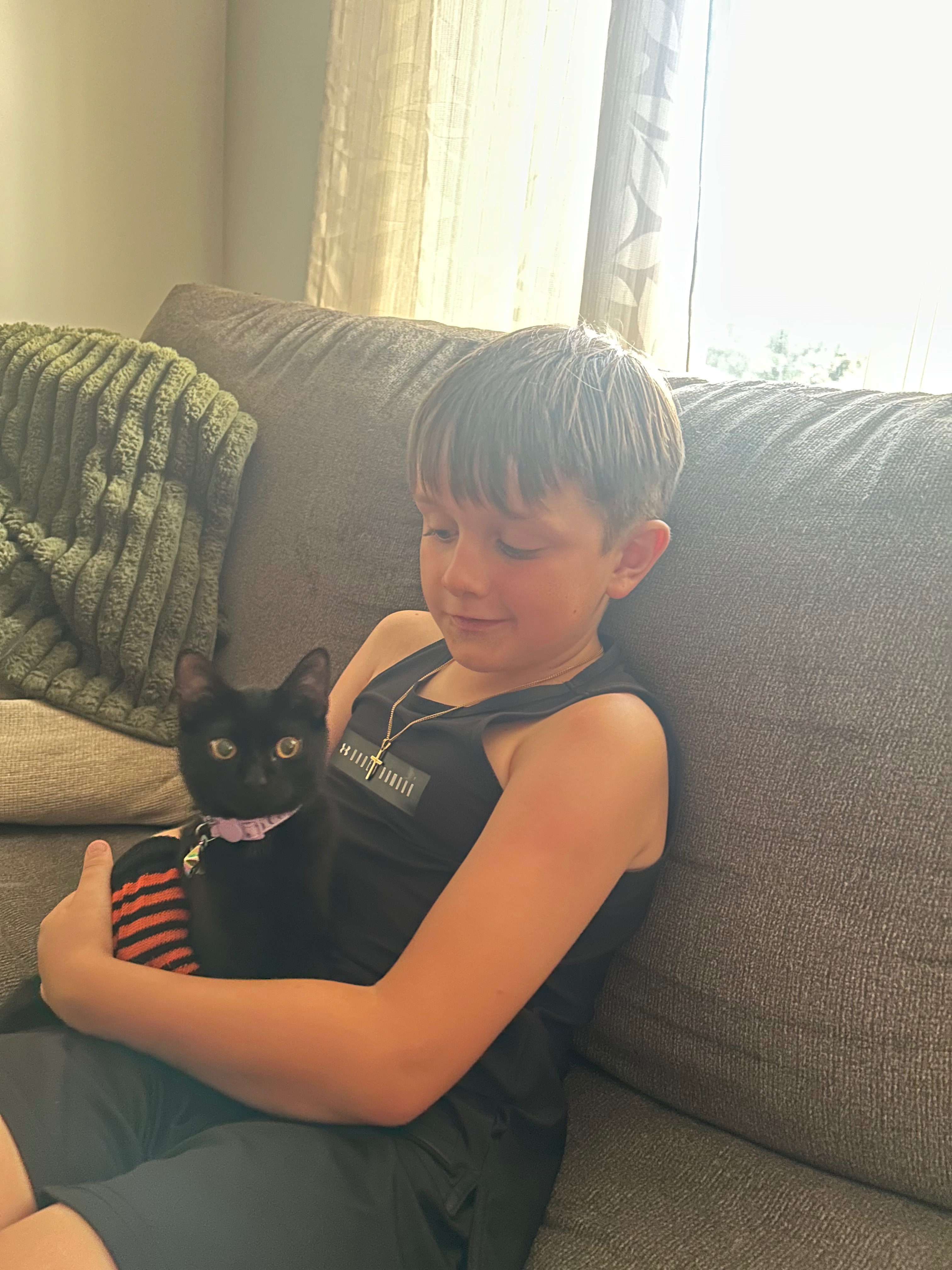 Help Our Sweet Cat Heal After a Freak Accident campaign photo, 2 of 8