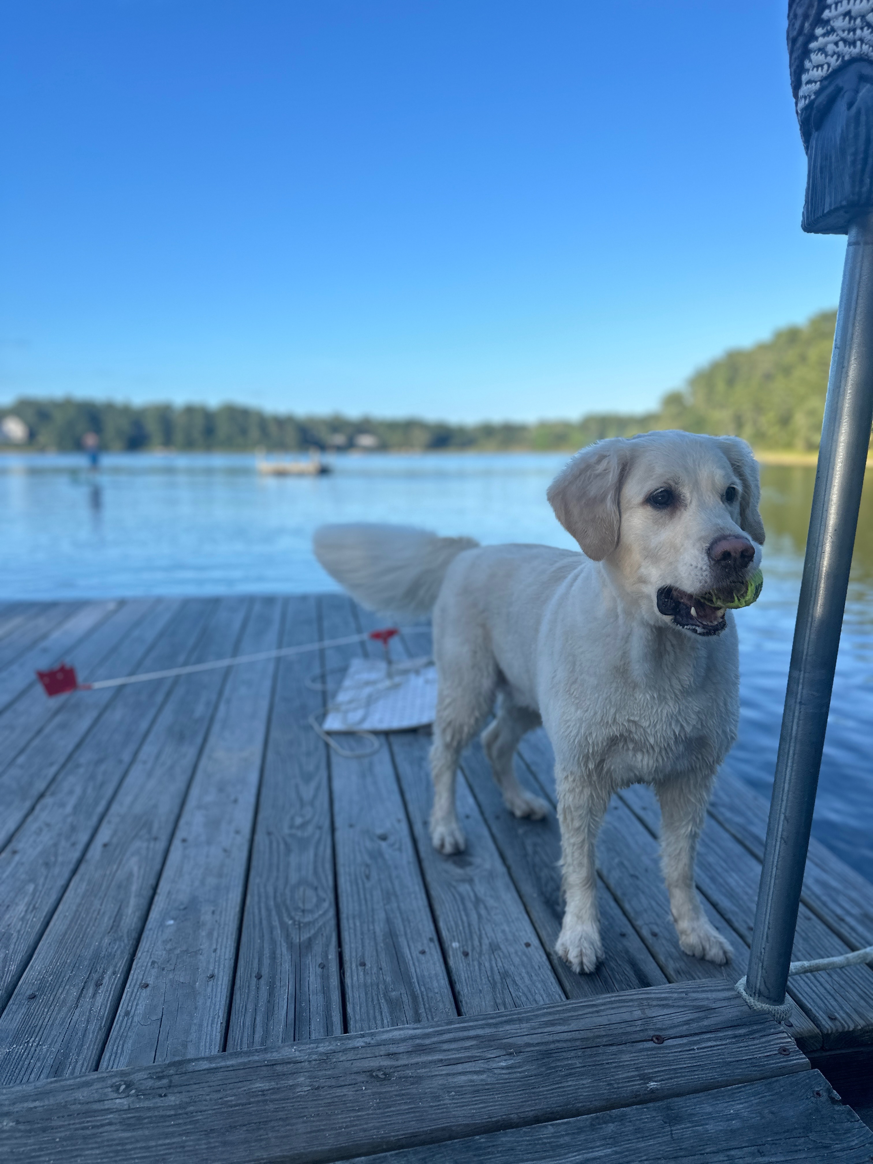 User-uploaded image 1