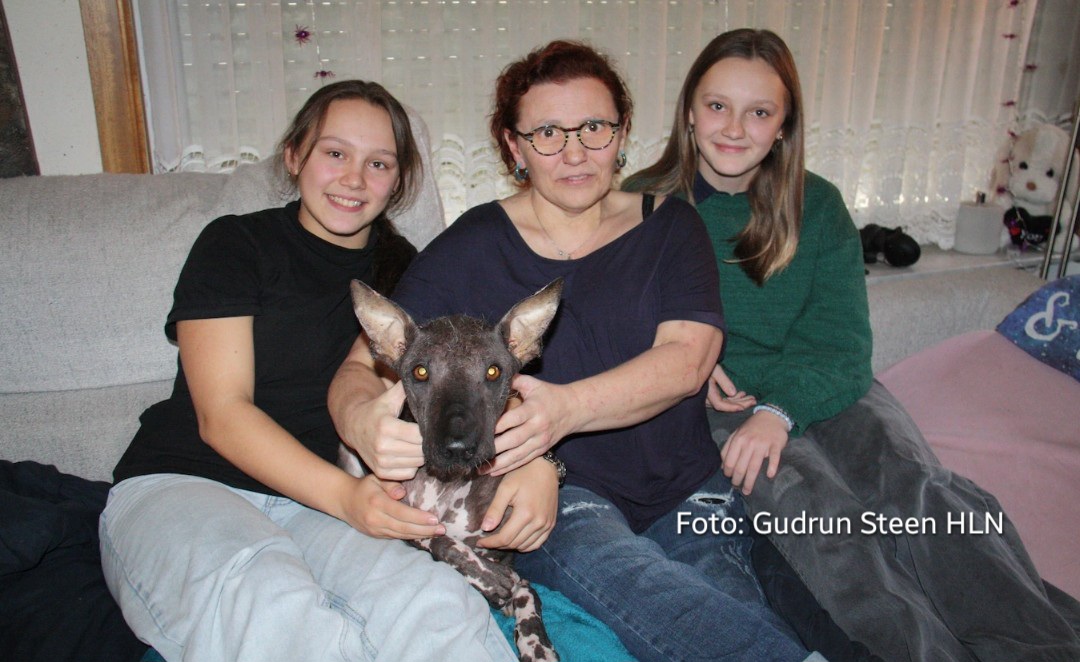 Steun voor gezond huis tijdens mijn immunotherapie campaign photo, 4 of 5