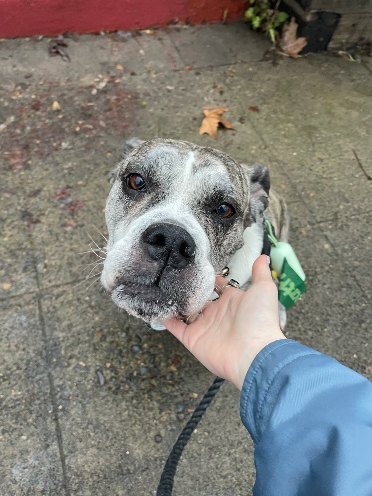 Help Yuki Get Cancer Treatment campaign photo, 2 of 5