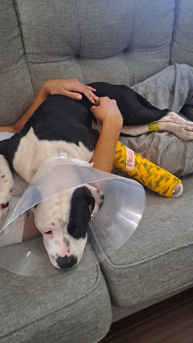 Help Paris Get Her Surgery campaign photo, 4 of 5