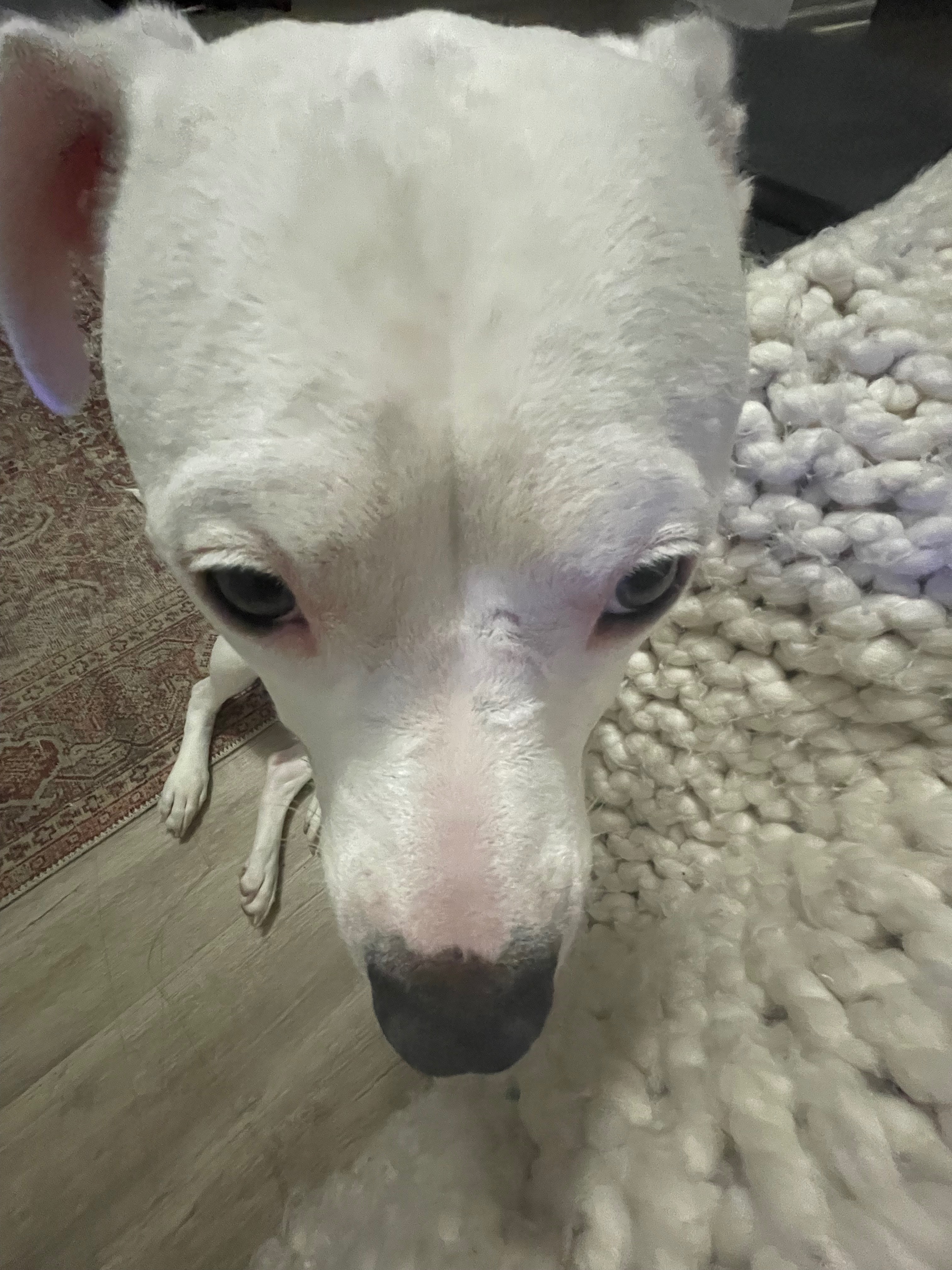 Support Rosalina's Knee Surgery campaign photo, 4 of 8