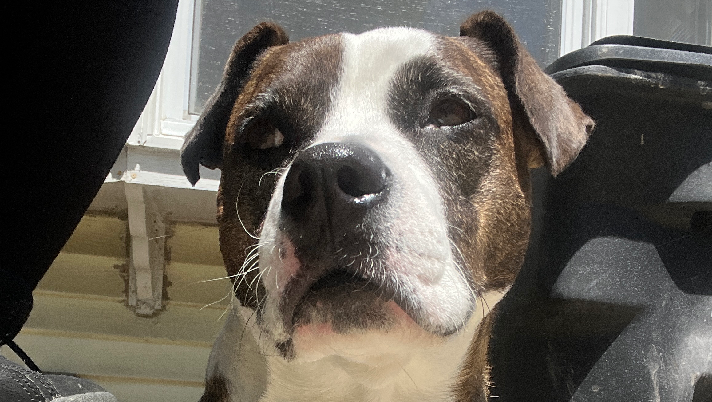 Urgent Help Needed for Tay Tay's Health photo