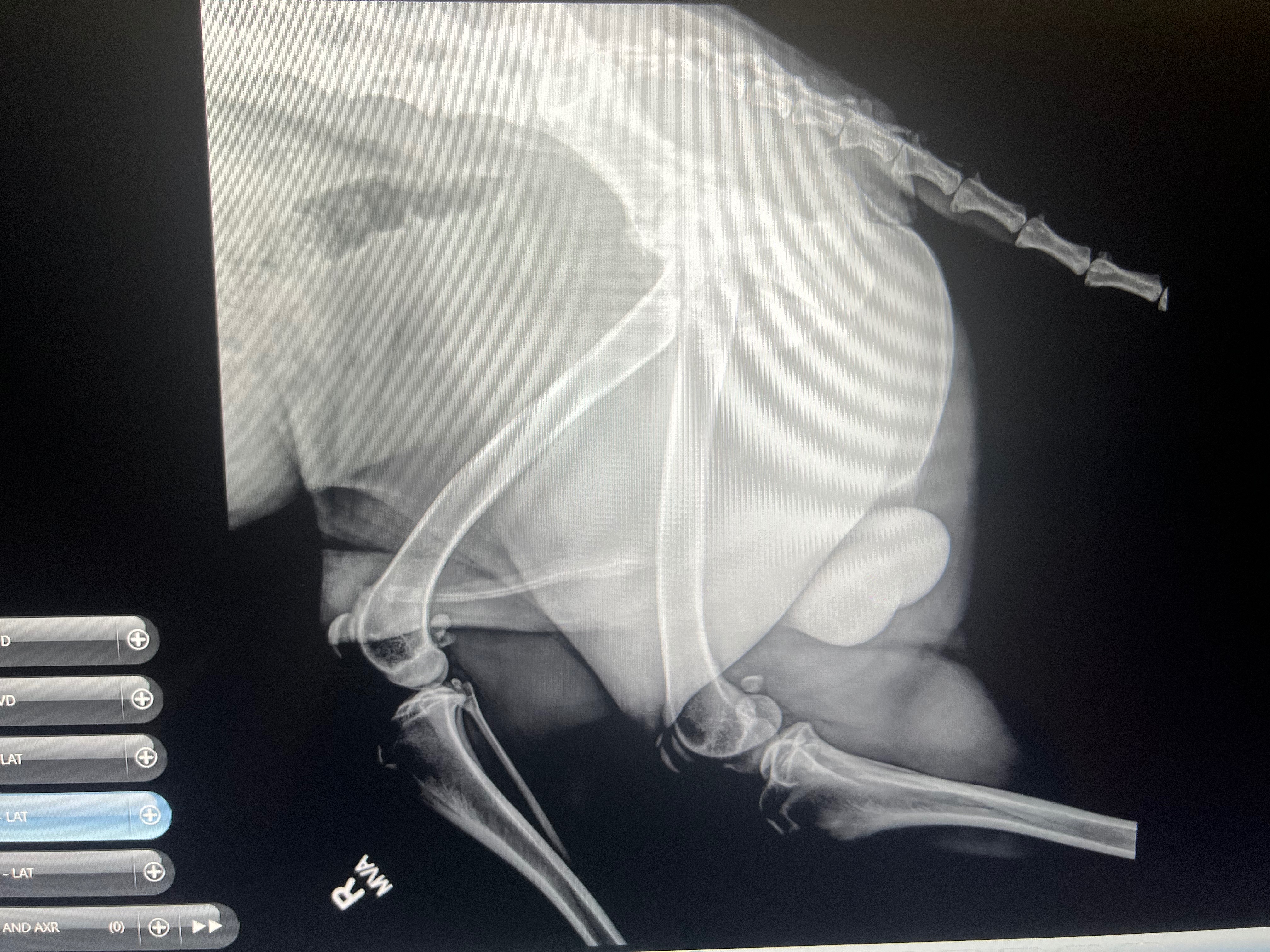 Rudy’s Surgeries campaign photo, 2 of 8
