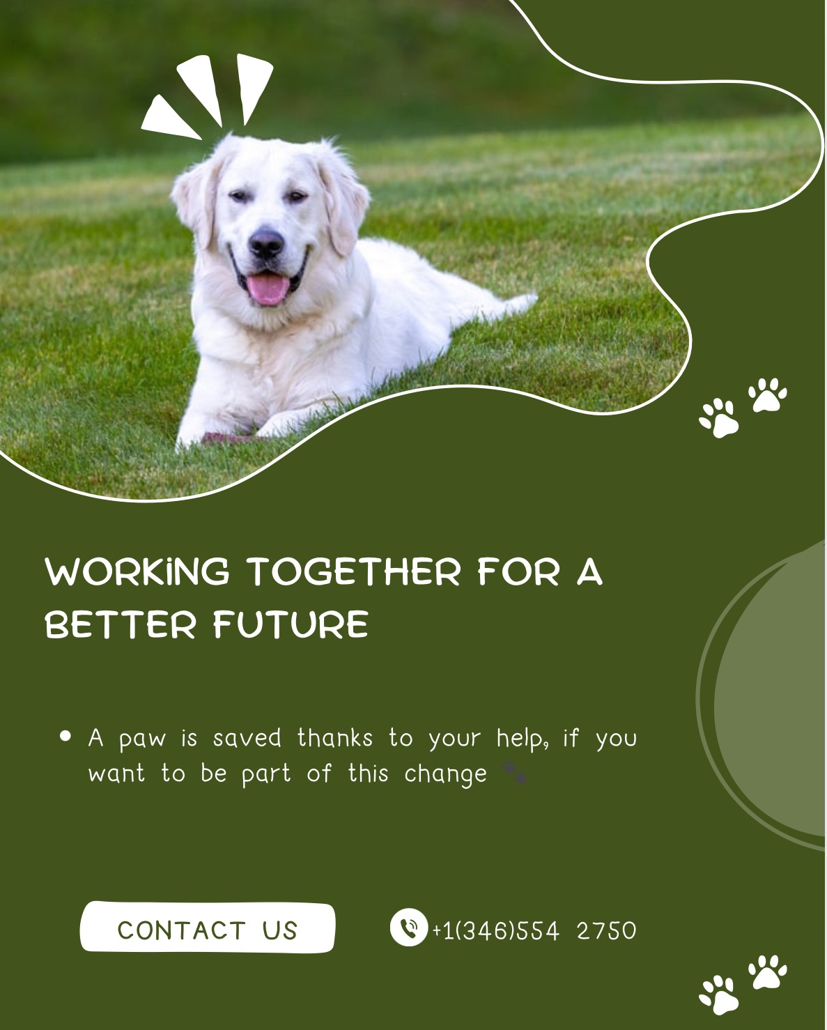 Help Street Animals Find a Second Chance campaign photo, 7 of 8