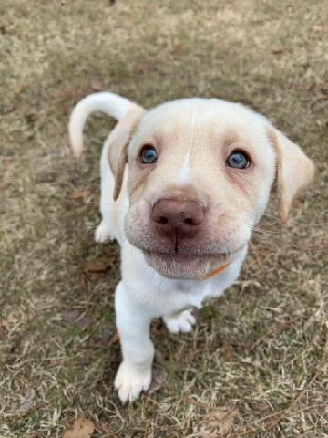 Sully's Surgery campaign photo, 7 of 8