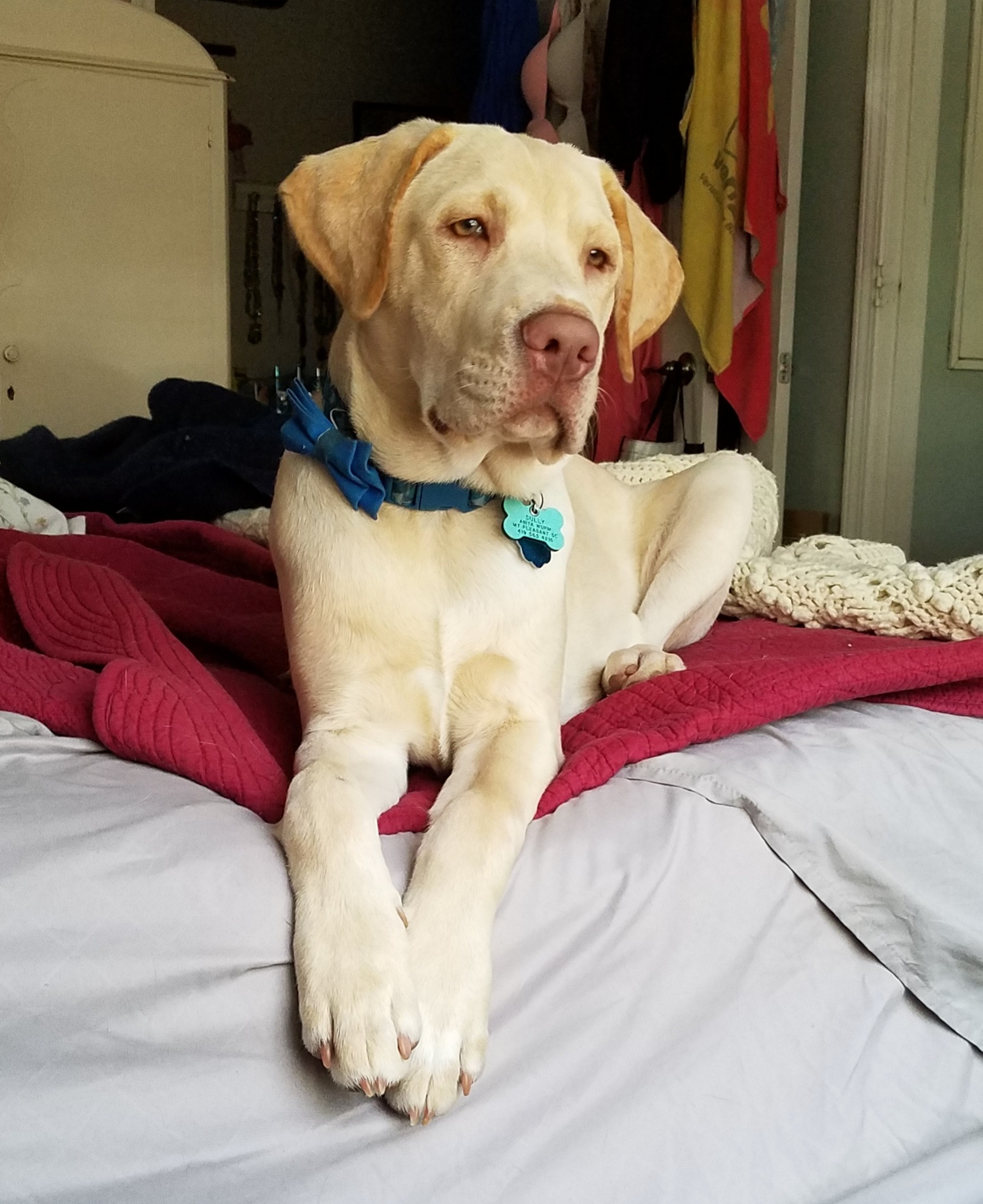 Sully's Surgery campaign photo, 2 of 8