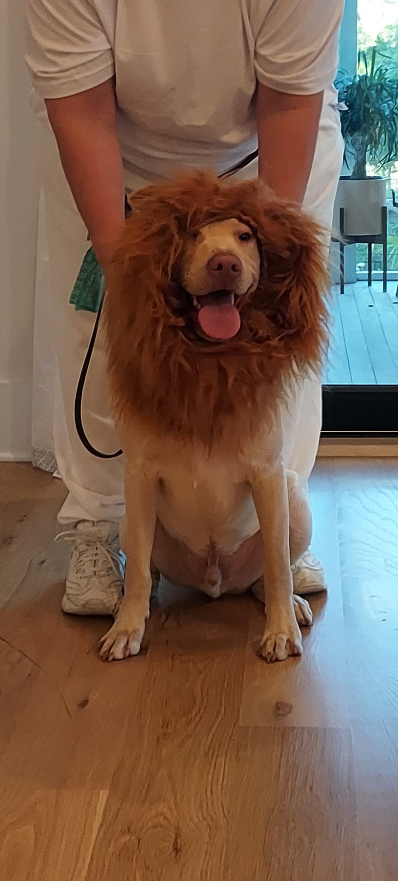 Sully's Surgery campaign photo, 5 of 8