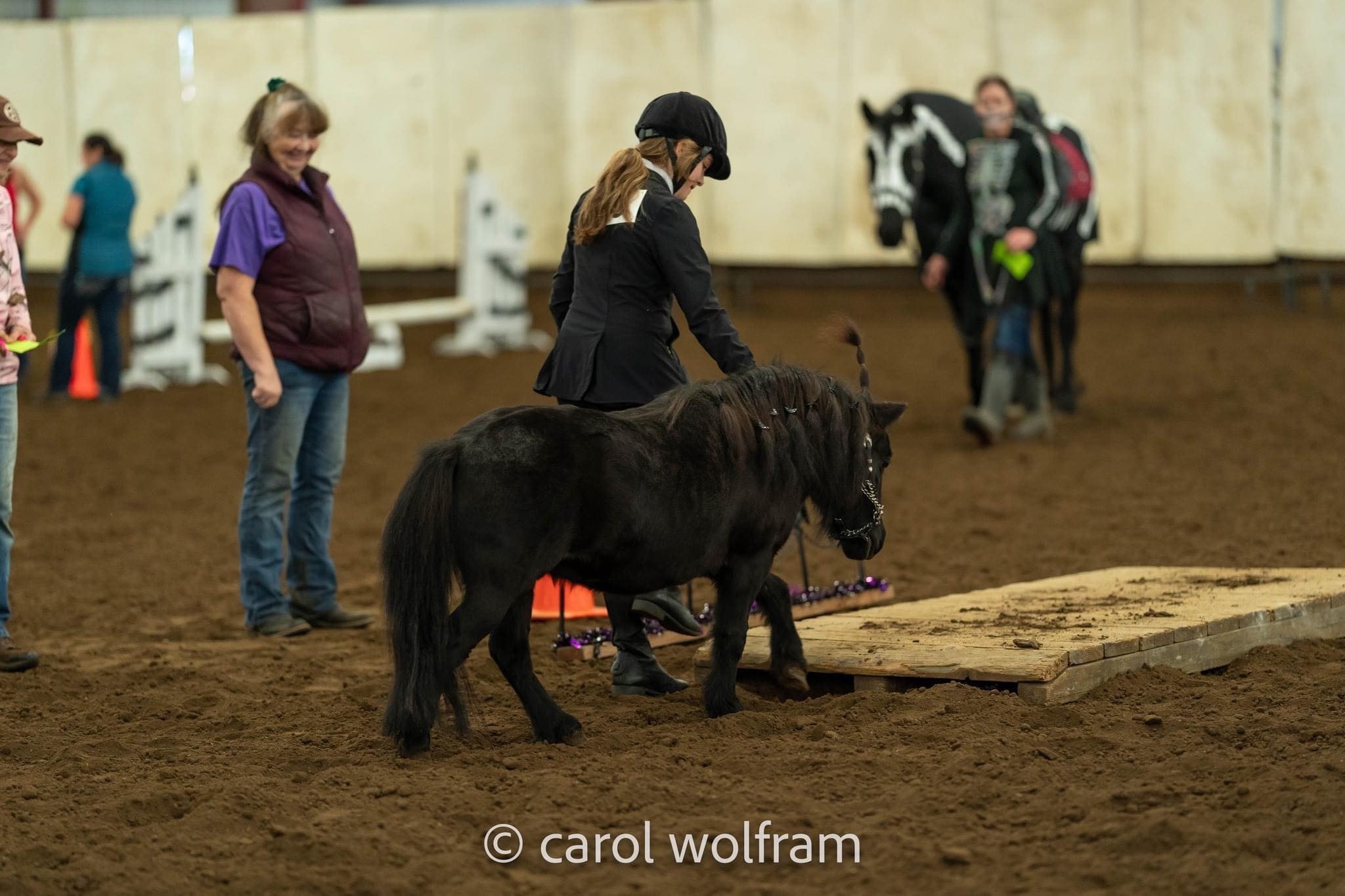 Bella The Mini Horse’s Medical Bills campaign photo, 2 of 8