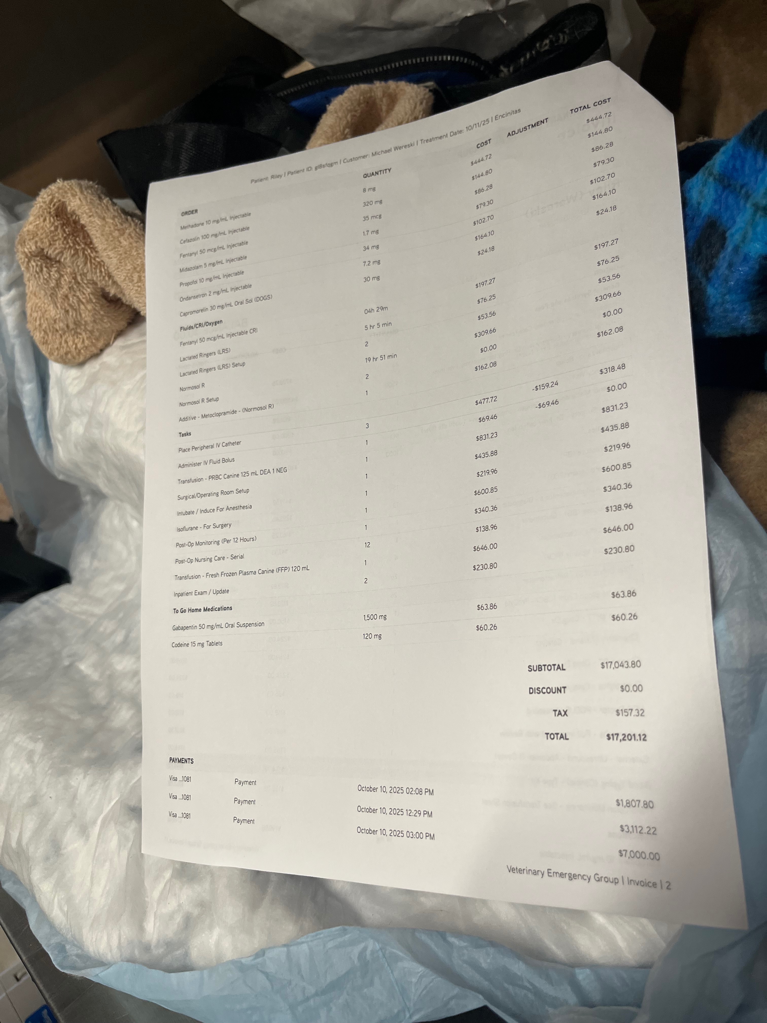 Help Service Dog Riley’s Vet Bill for Splenectomy campaign photo, 5 of 8