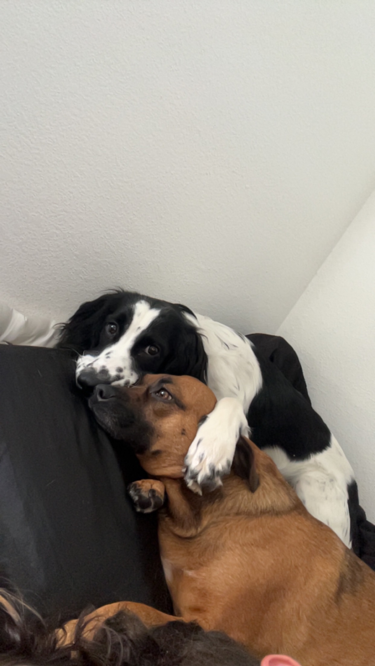 Theos broken femur surgery campaign photo, 5 of 6