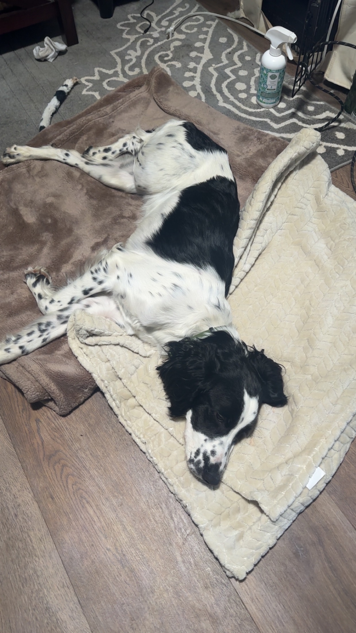 Theos broken femur surgery campaign photo, 2 of 6