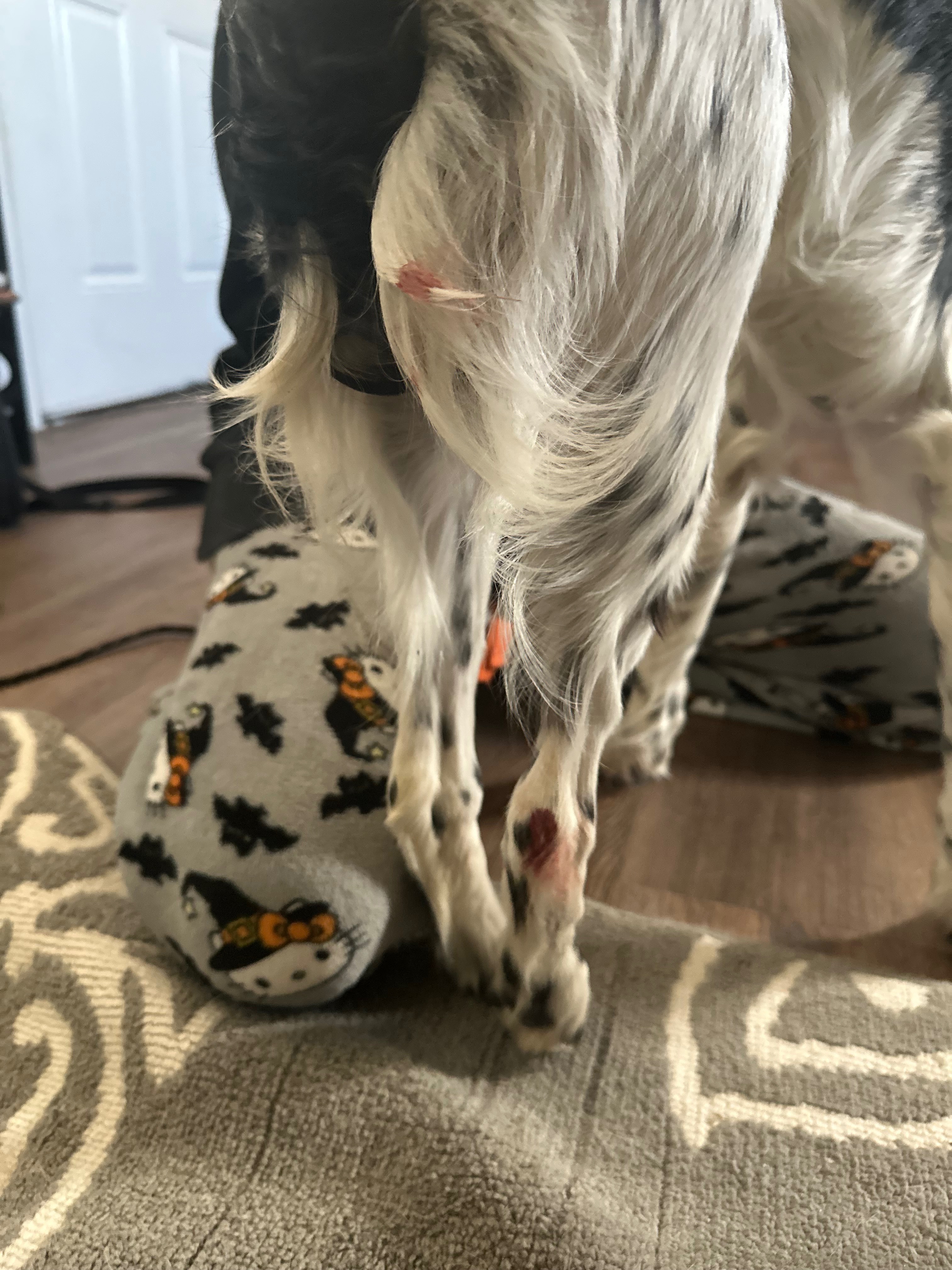 Theos broken femur surgery campaign photo, 4 of 6