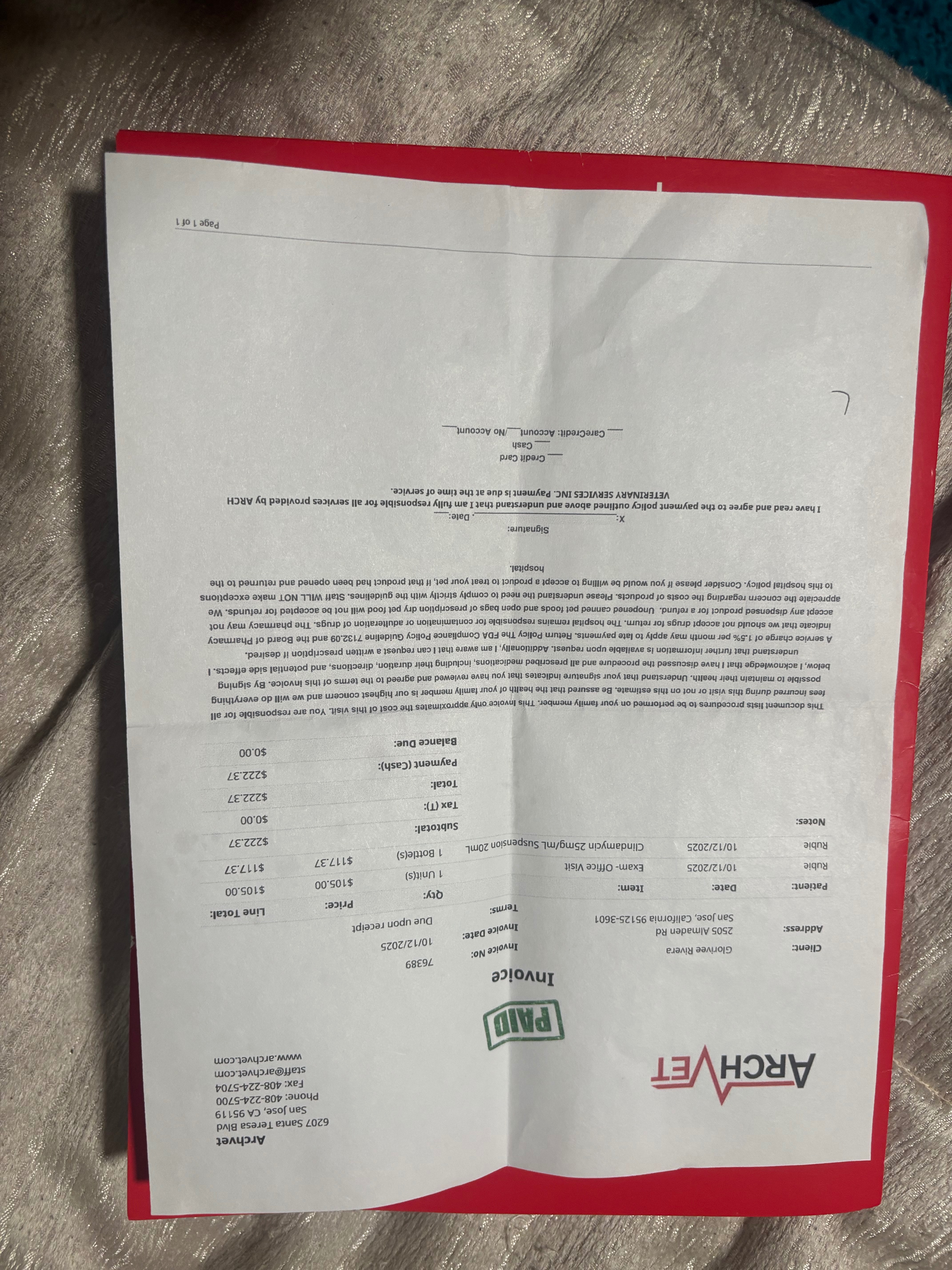 Urgent Veterinary dental and lump of pus campaign photo, 4 of 8