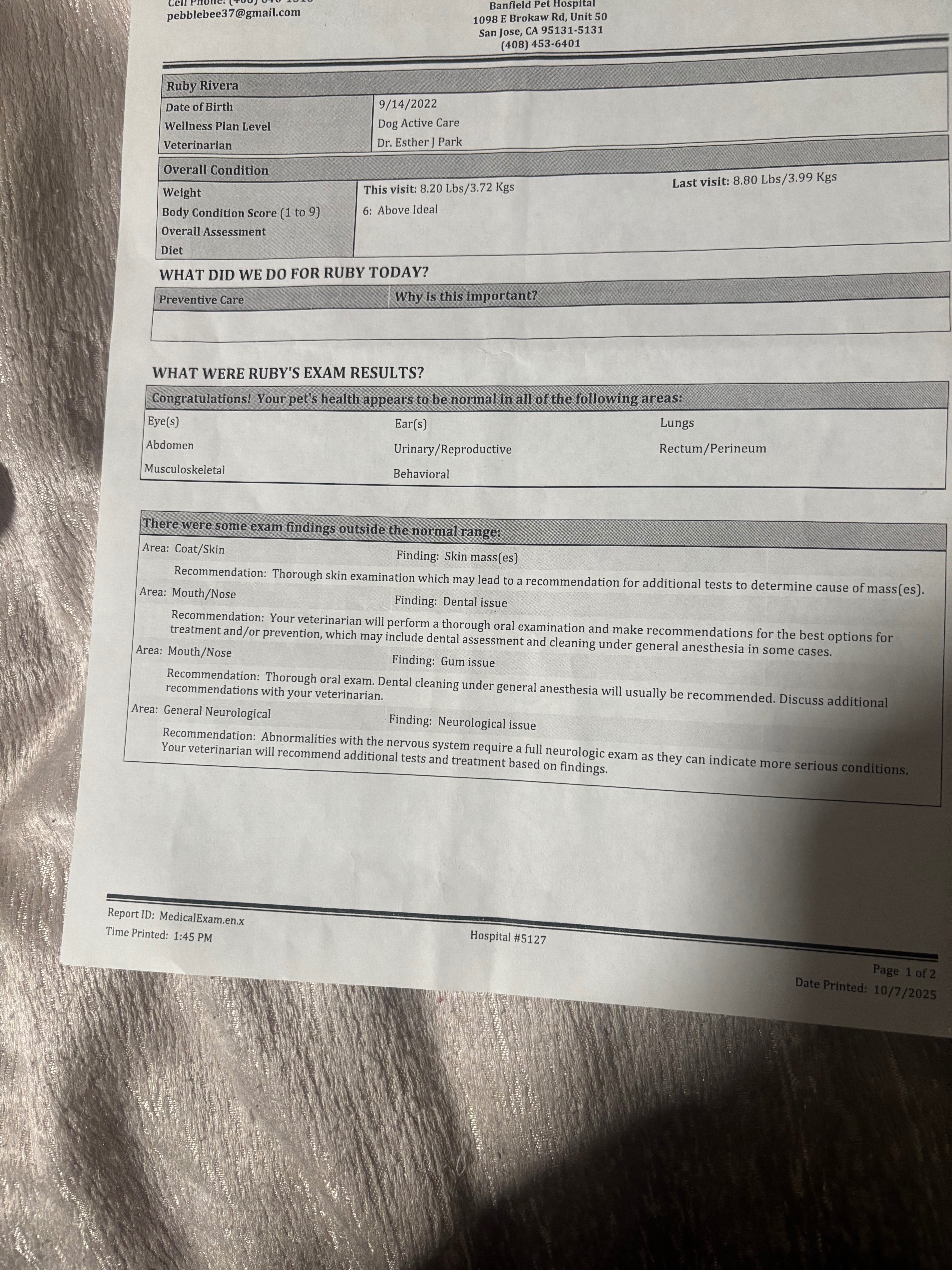 Urgent Veterinary dental and lump of pus campaign photo, 5 of 8