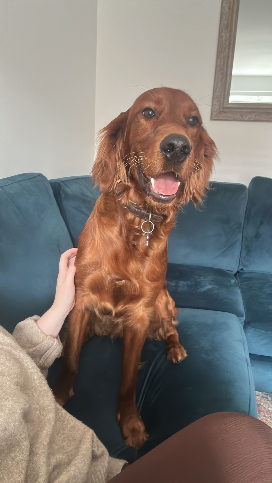 Ralph’s Major Surgeries campaign photo, 2 of 8