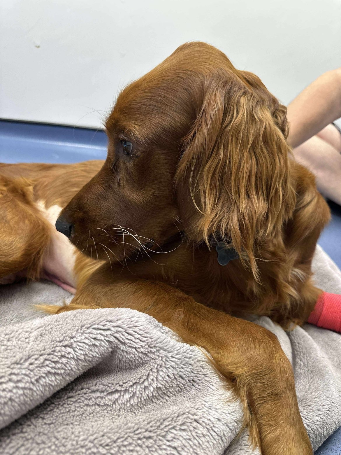 Ralph’s Major Surgeries campaign photo, 4 of 8