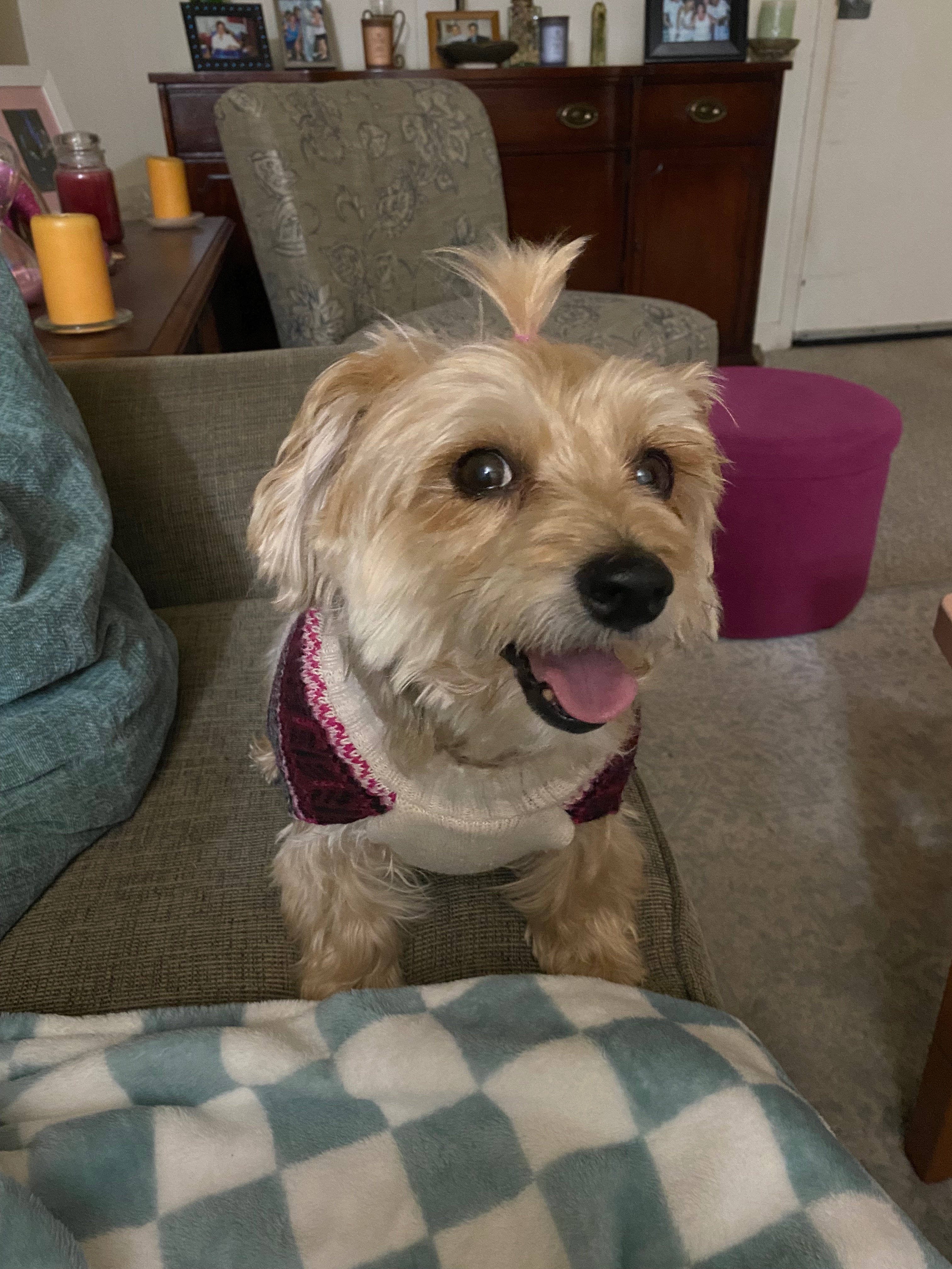 Help Rhonda and Lucy Stay in Their Home campaign photo, 2 of 8