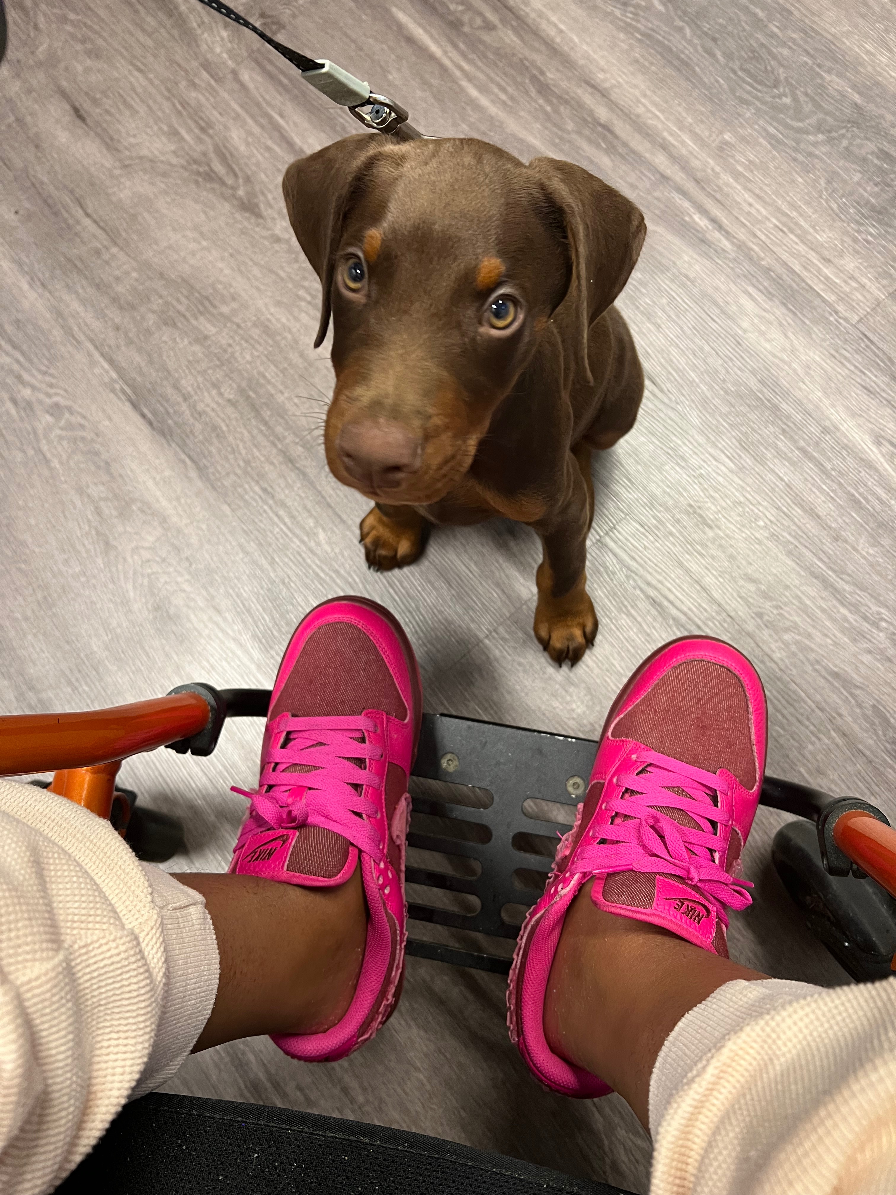 Help Mougli Maurice Franklin Get Urgent Surgery campaign photo, 4 of 6