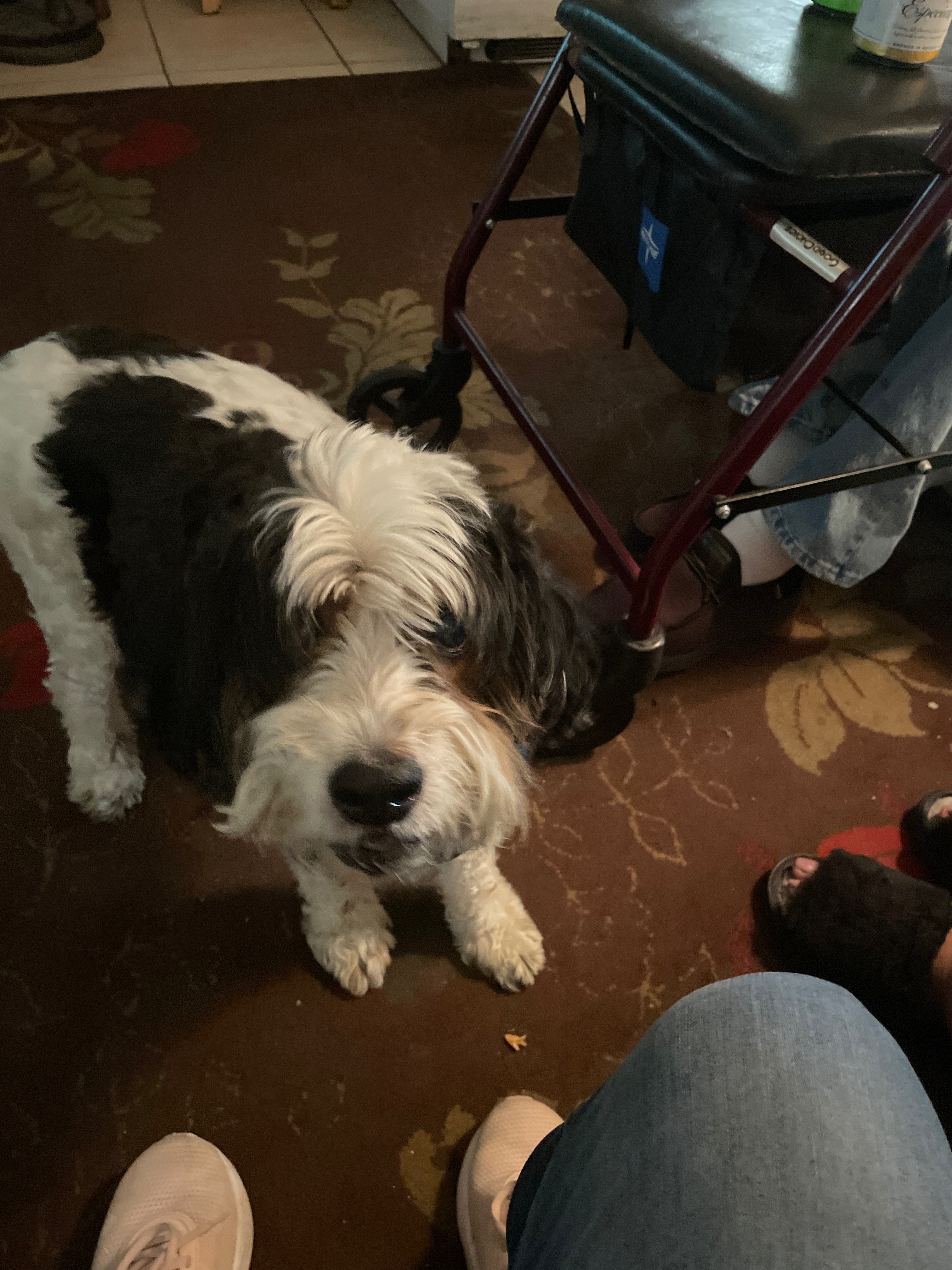 User-uploaded image 1