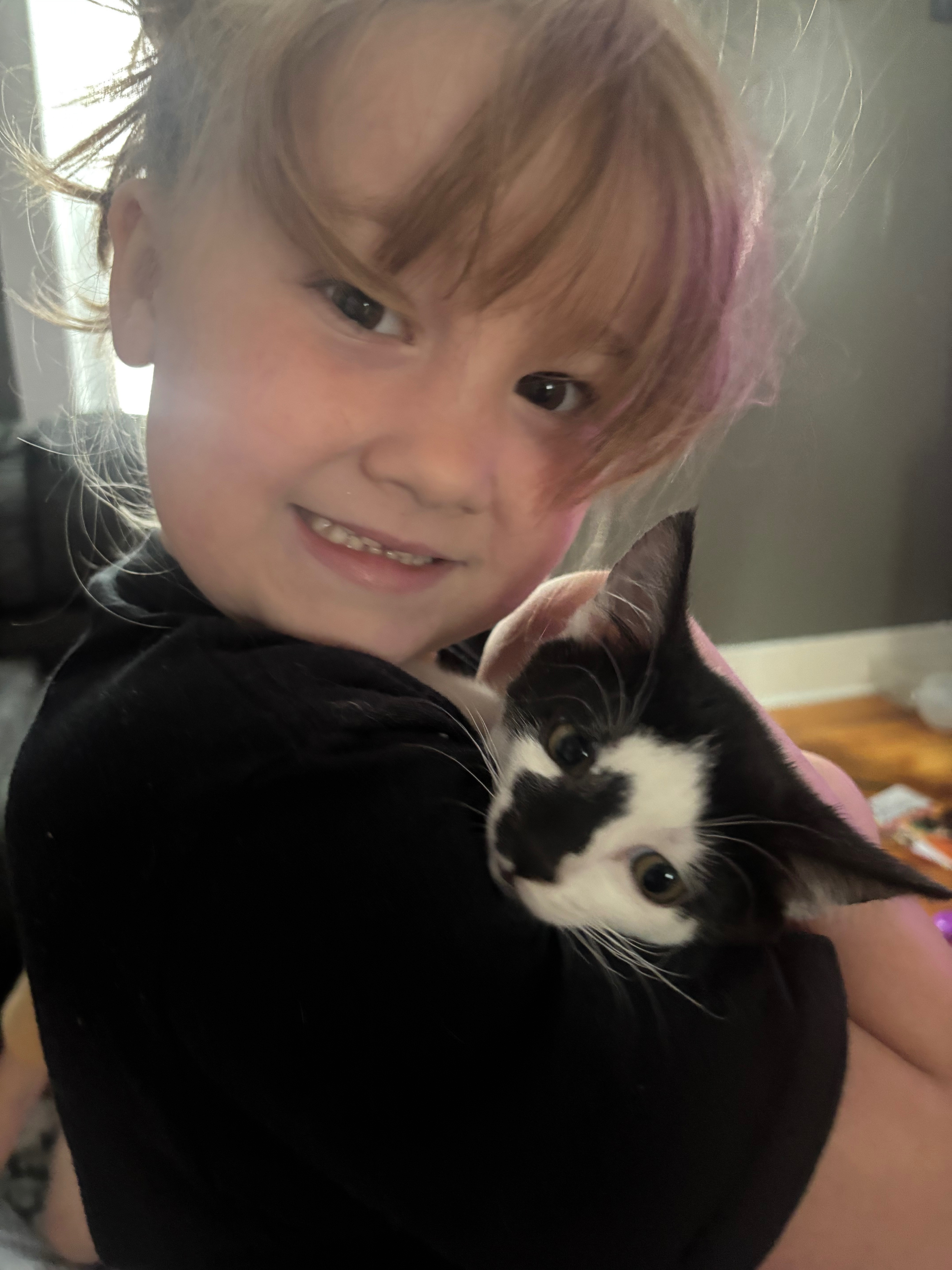 Support Our Kittens' Emergency Vet Care campaign photo, 2 of 6