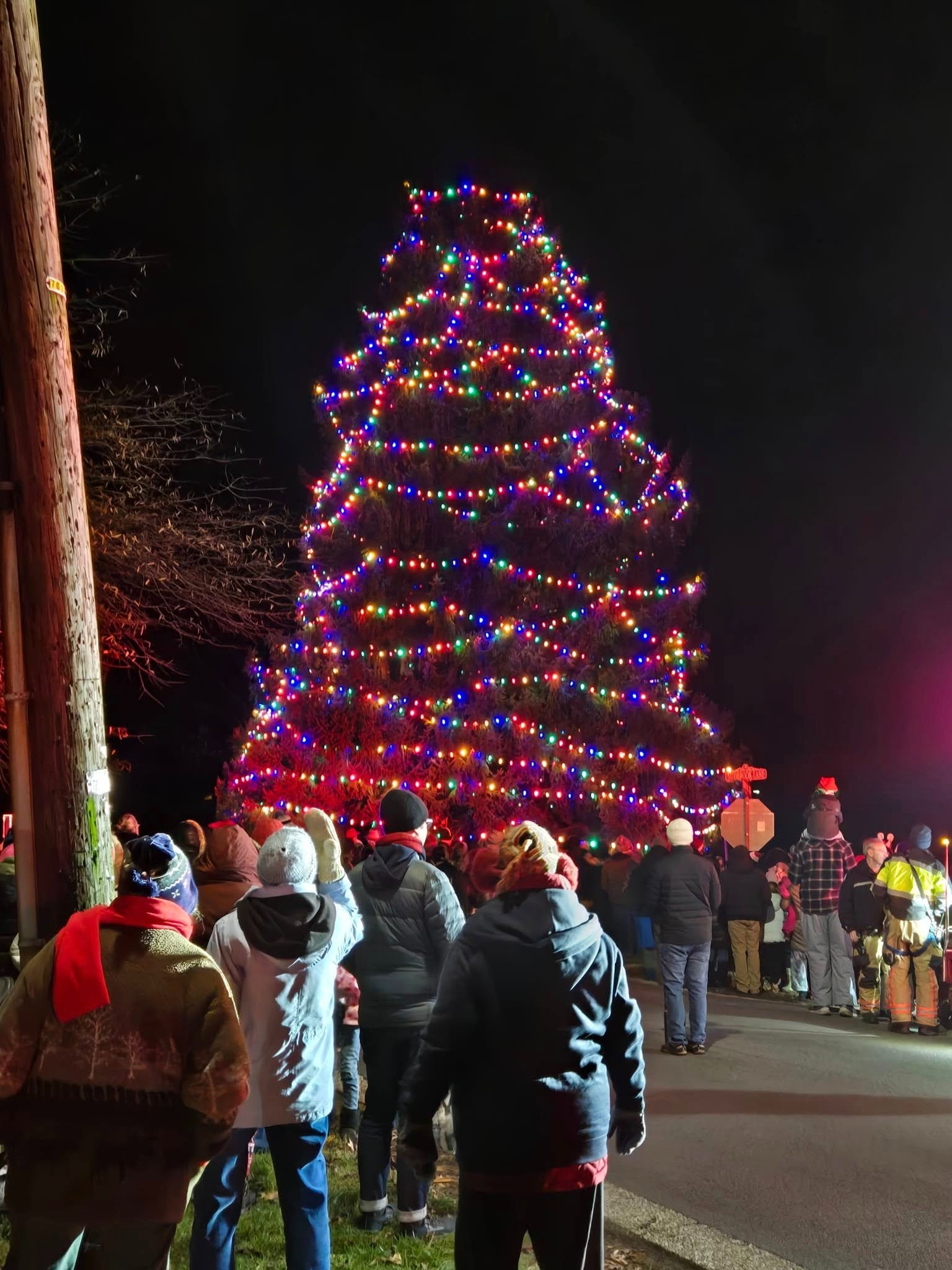 2025 Sudbrook Park Christmas Tree Lighting campaign photo, 2 of 4