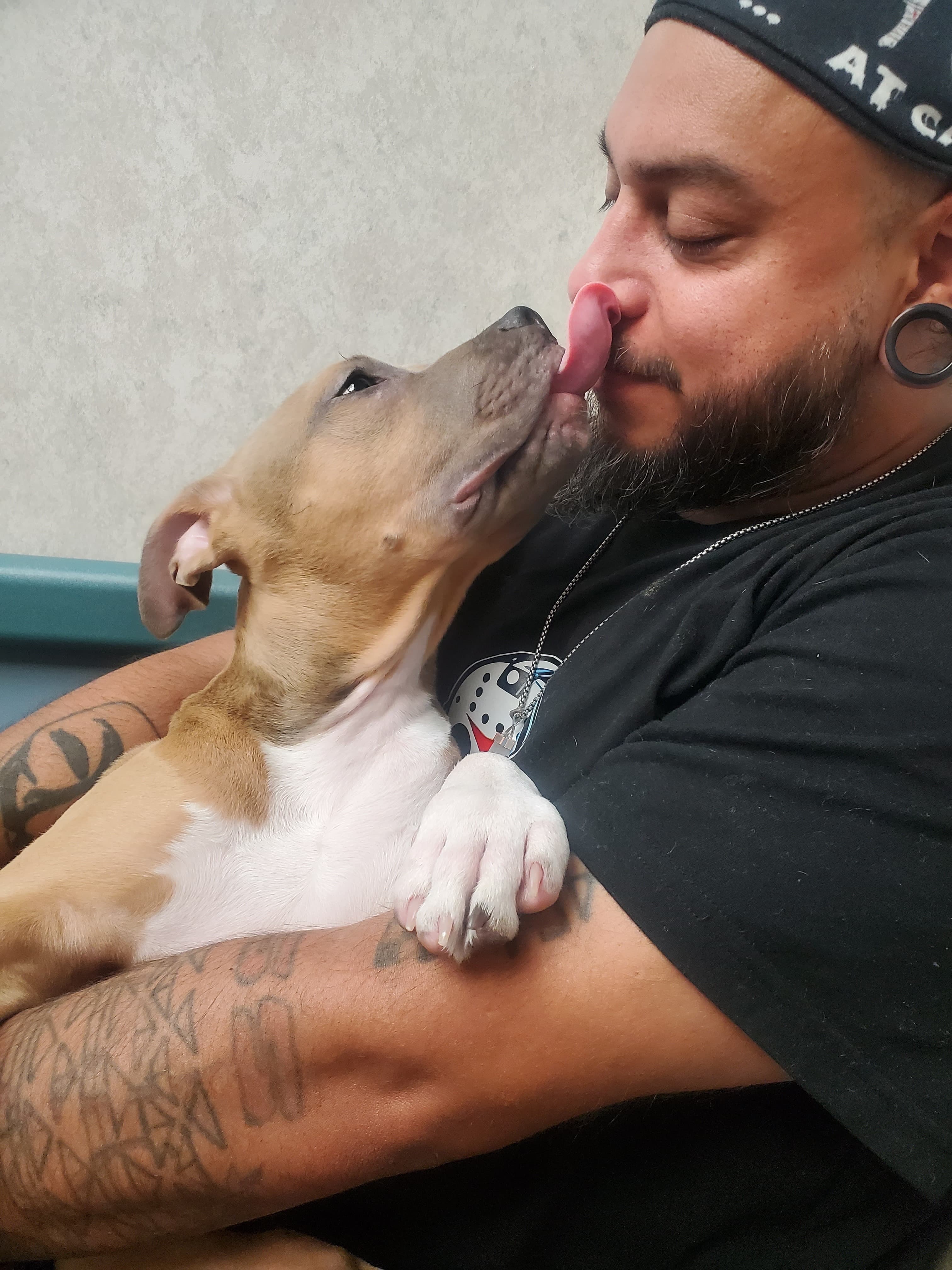 Help Osiris Recover: Puppy Surgery Fund campaign photo, 2 of 6