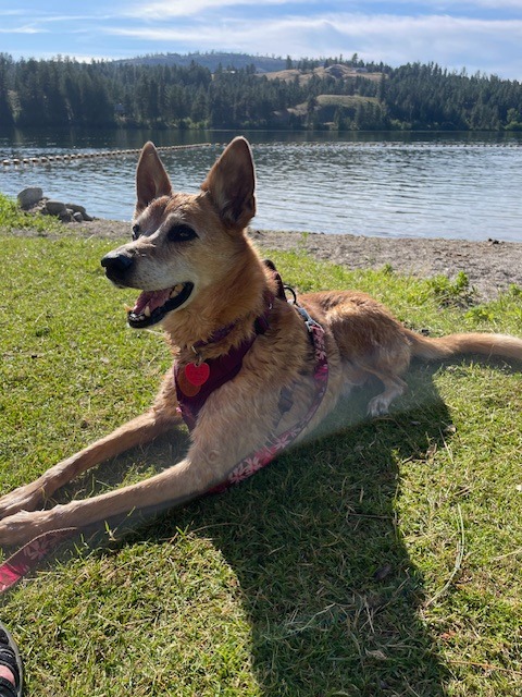 Help Ruby Get Lifesaving Surgery campaign photo, 7 of 8