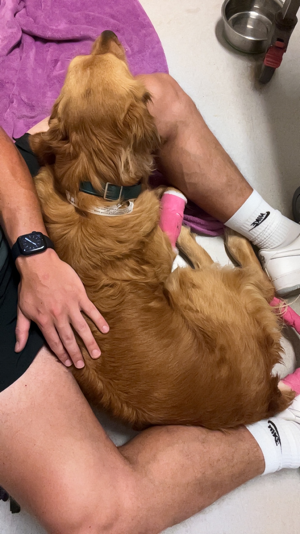 User-uploaded image 1