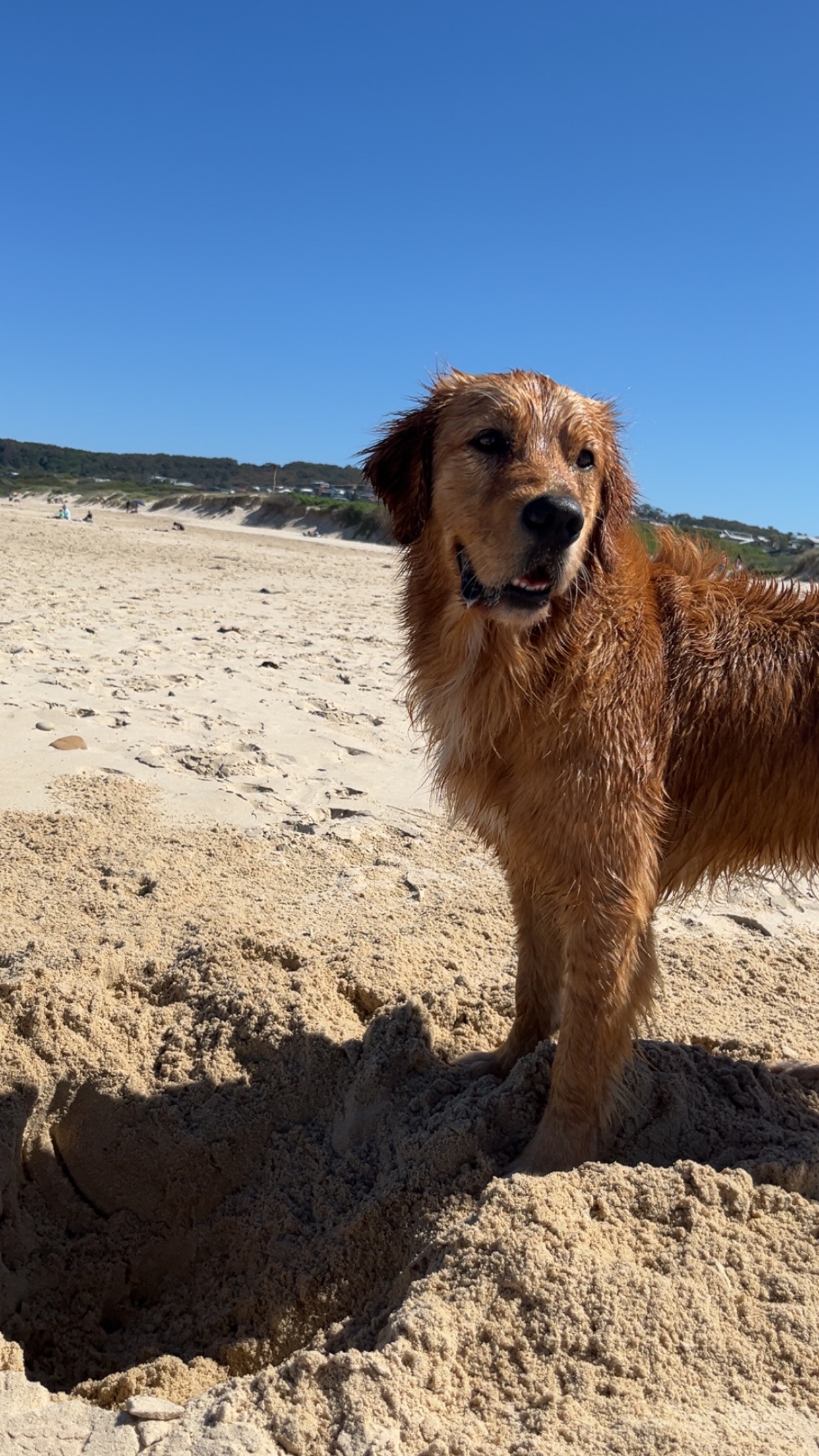 User-uploaded image 2