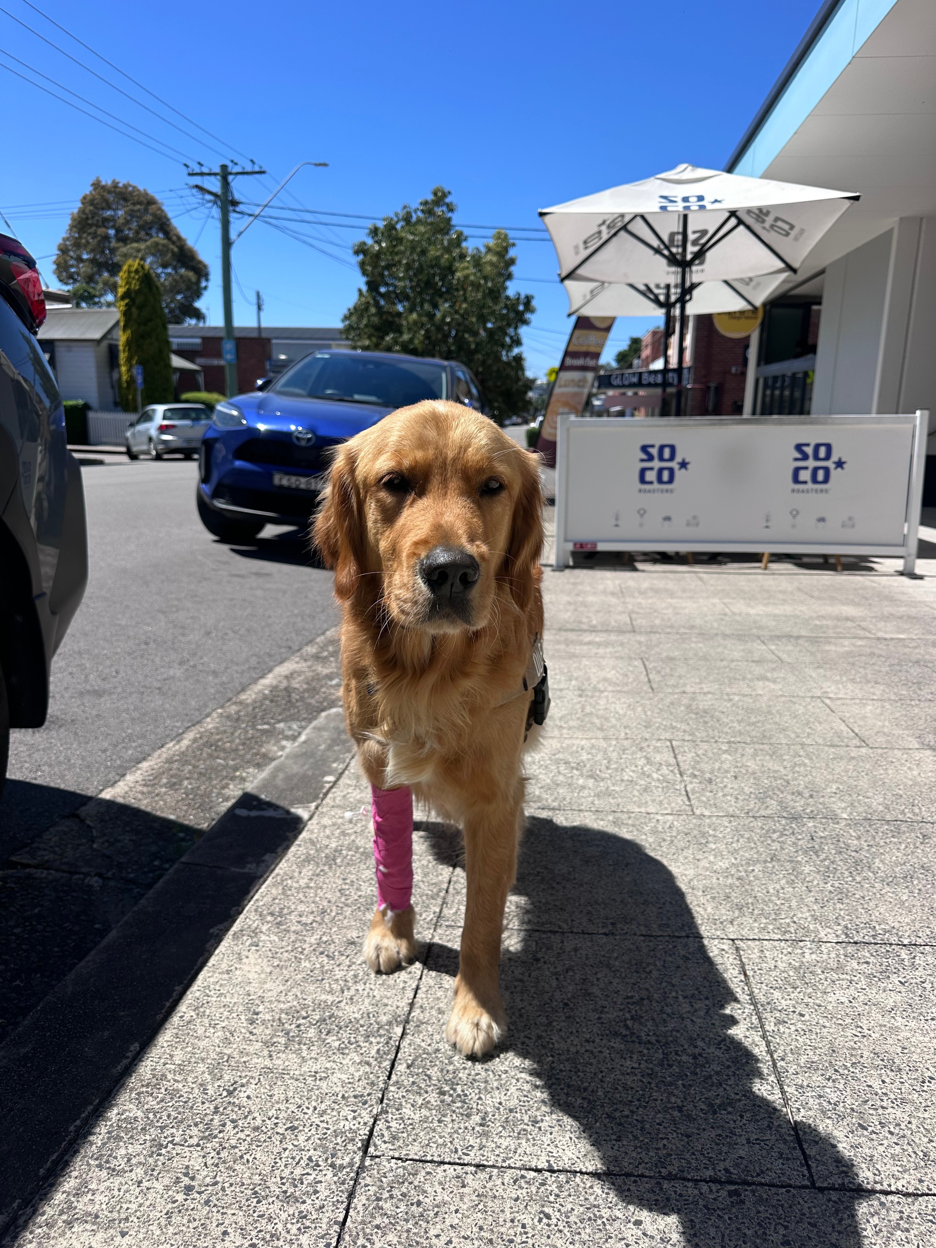 User-uploaded image 3