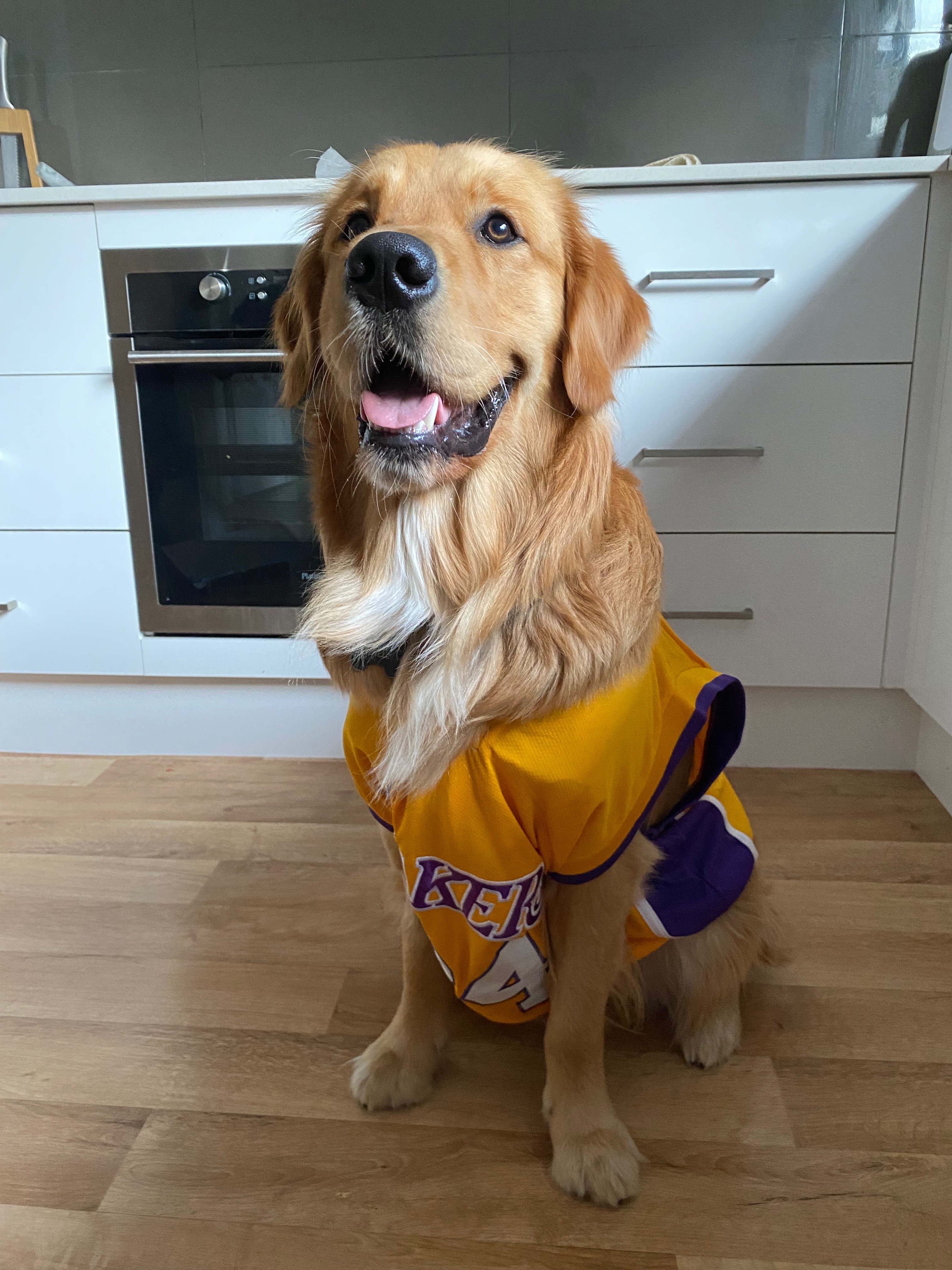 User-uploaded image 4