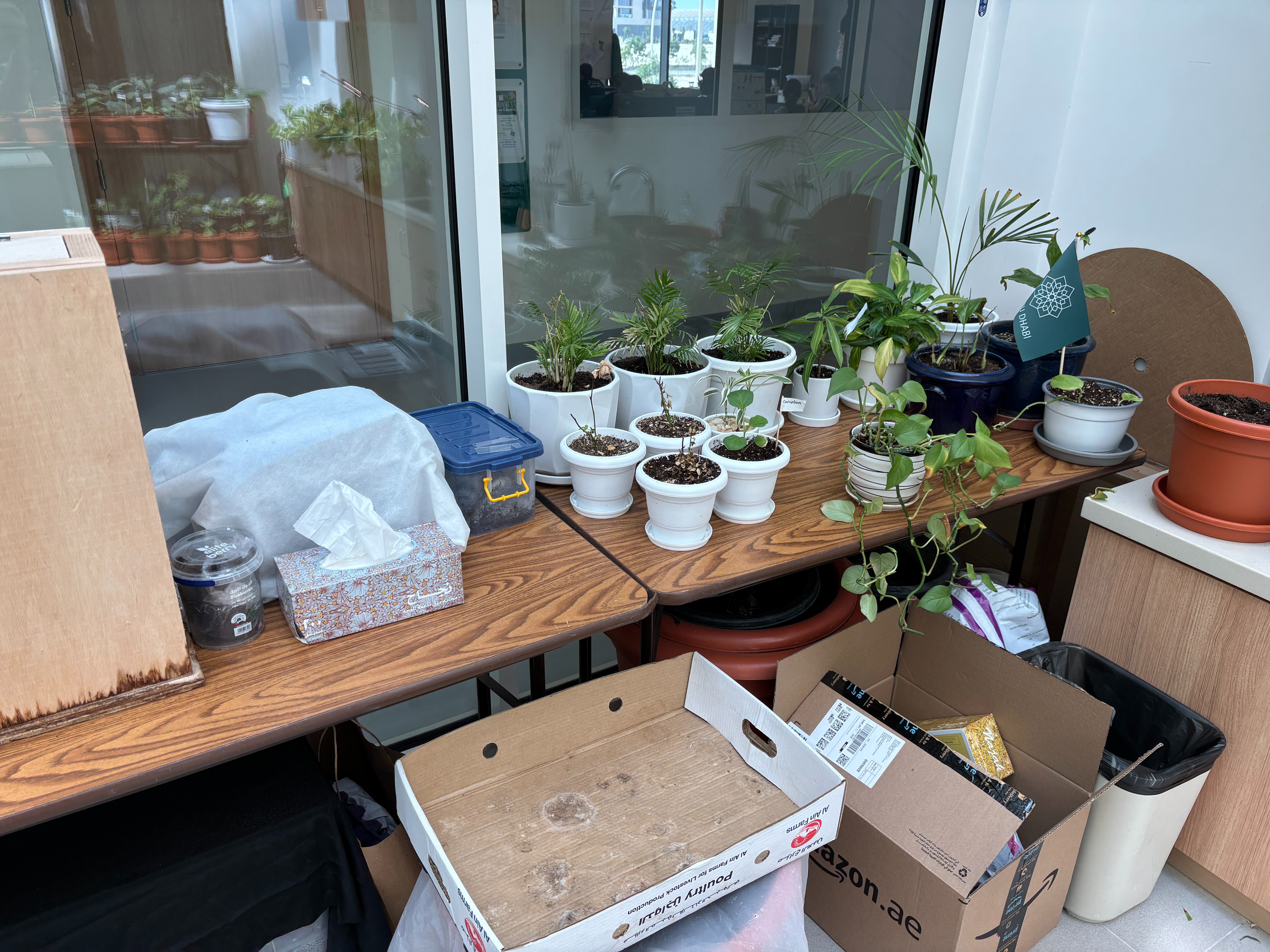 Growing Spaces - An Eagle Project campaign photo, 2 of 7