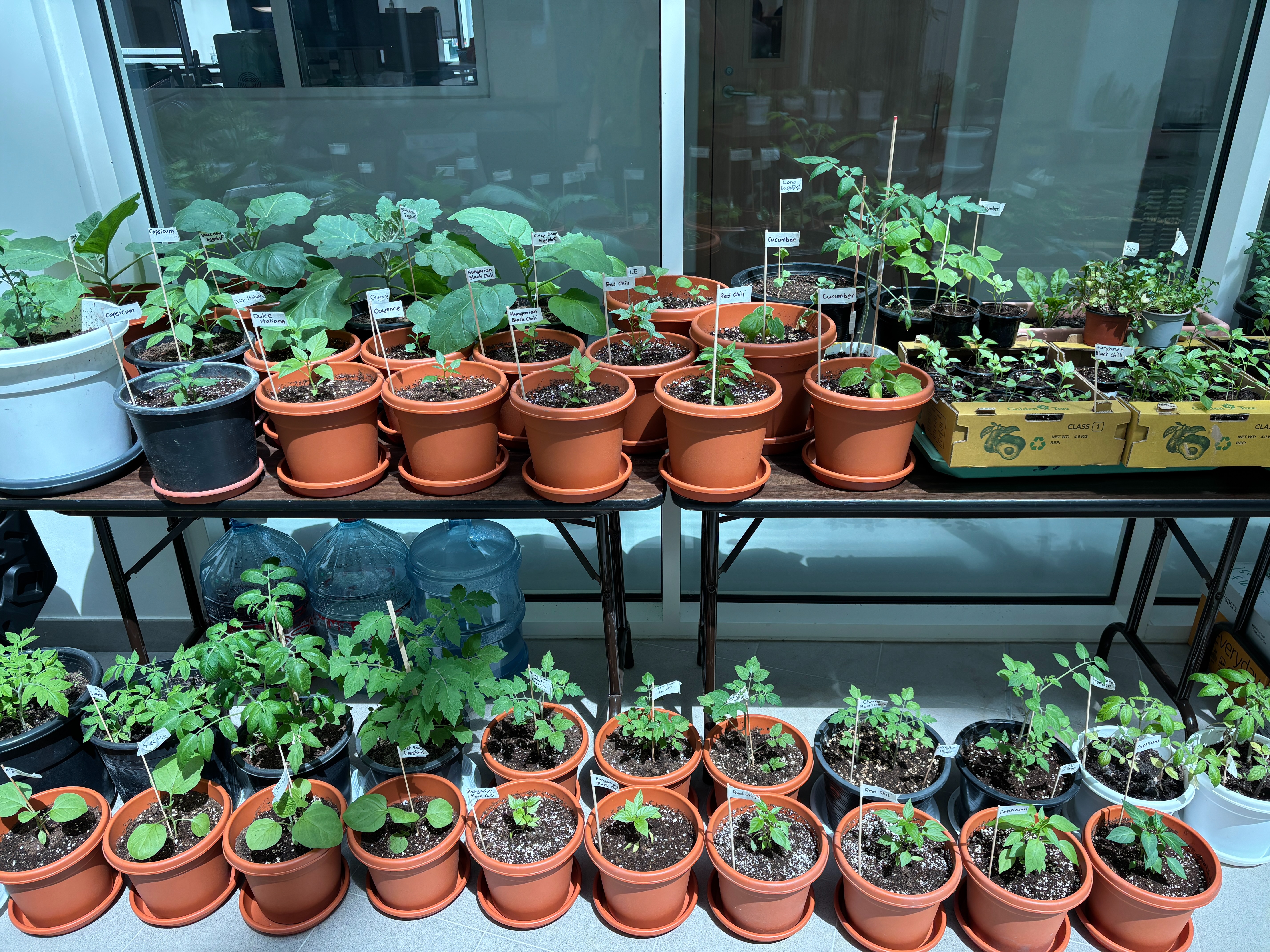 Growing Spaces - An Eagle Project campaign photo, 5 of 7