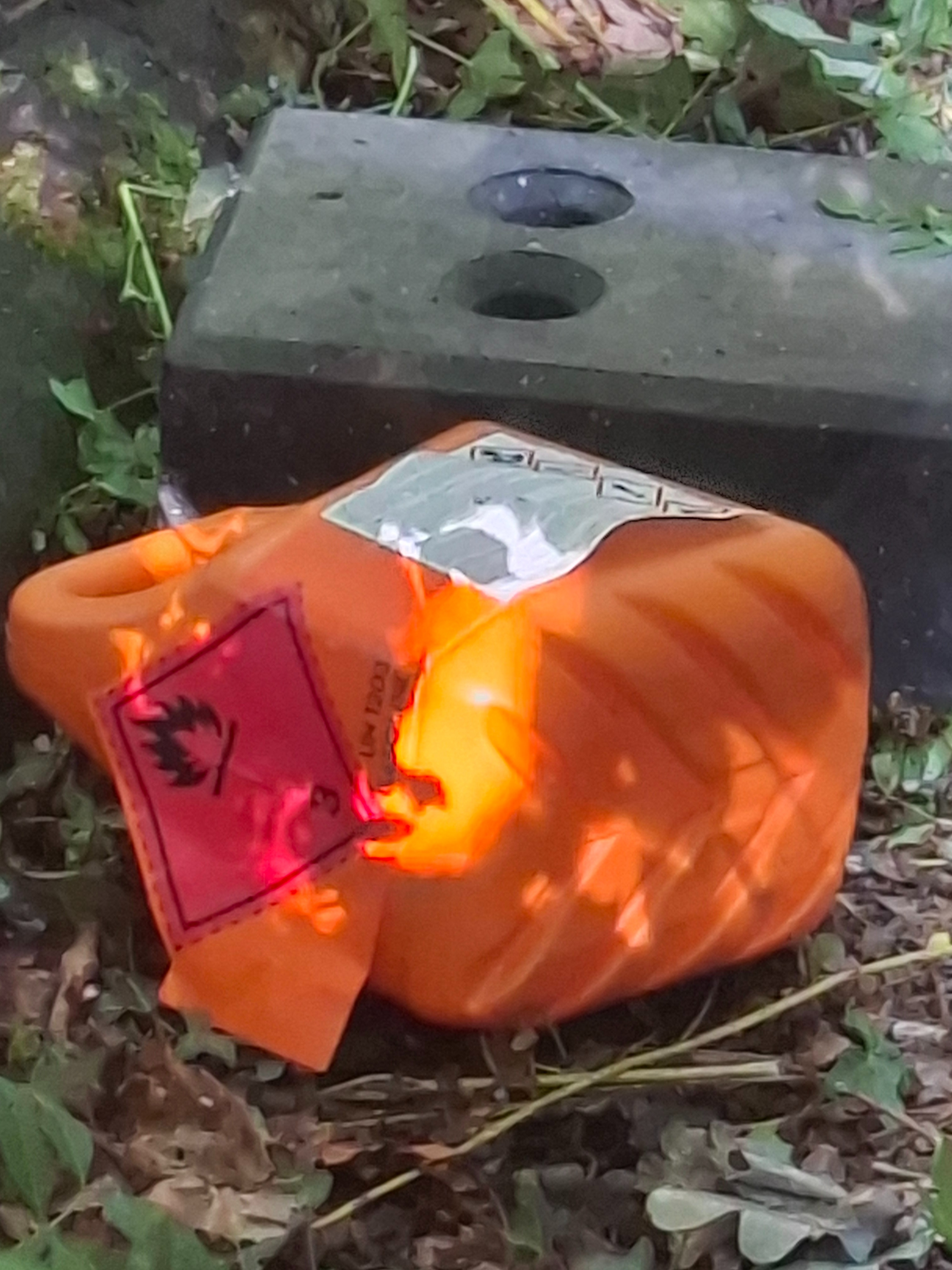 Foto van campagne Help Hoge Bomen Festival uit de brand!, 7 van 8
