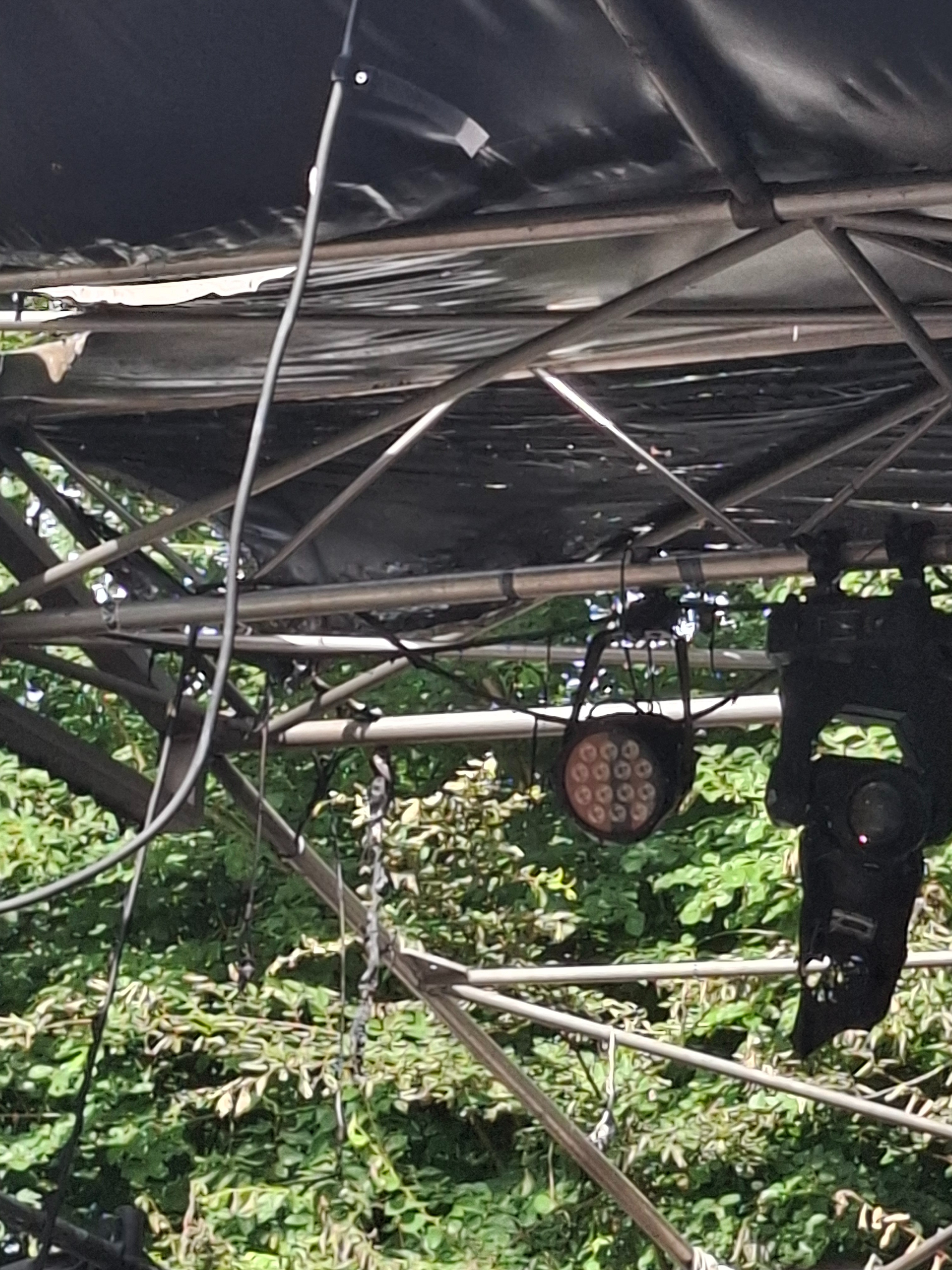 Foto van campagne Help Hoge Bomen Festival uit de brand!, 2 van 8