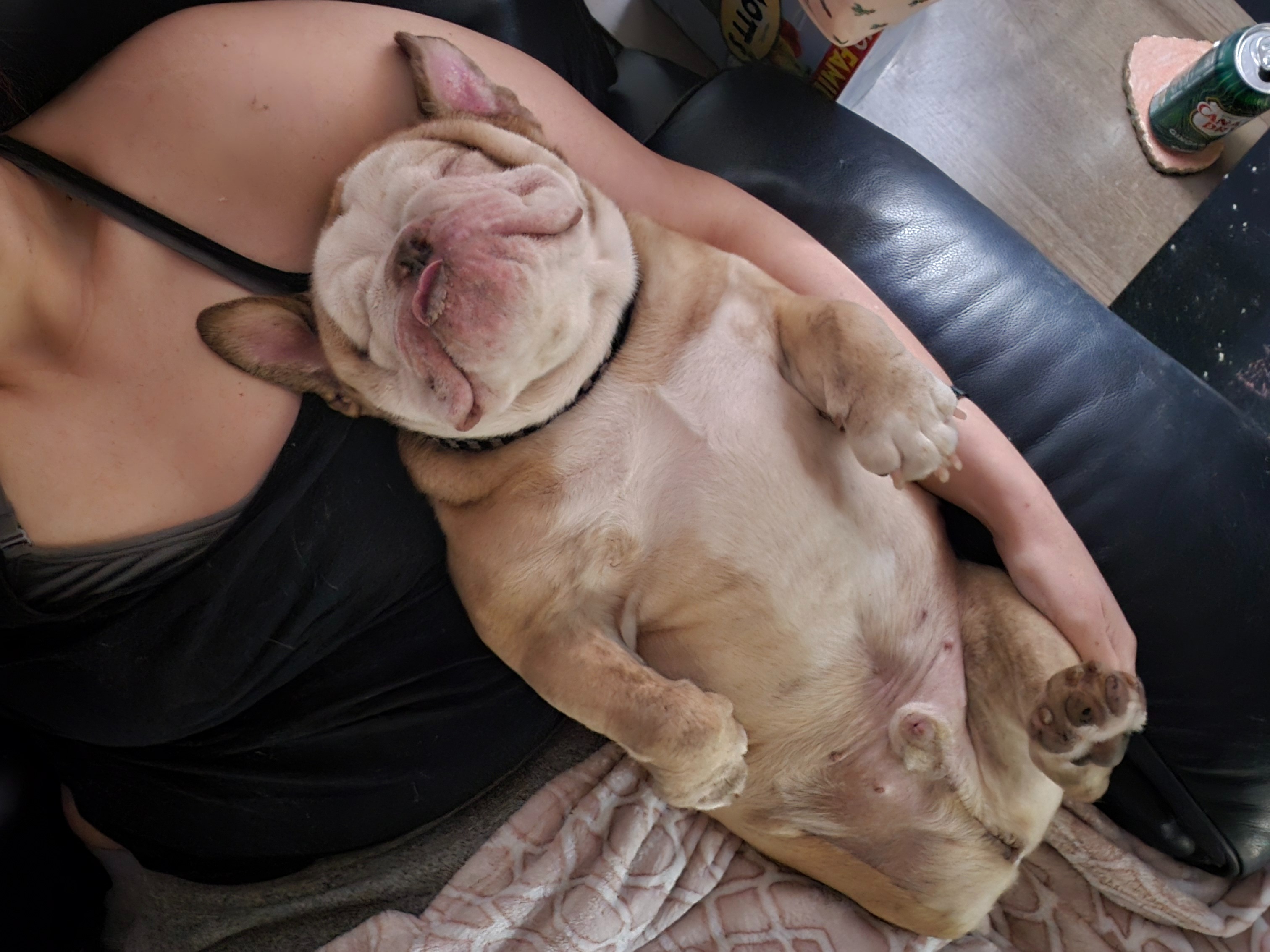 Help Pierogi Breathe: Support His Recovery campaign photo, 5 of 8