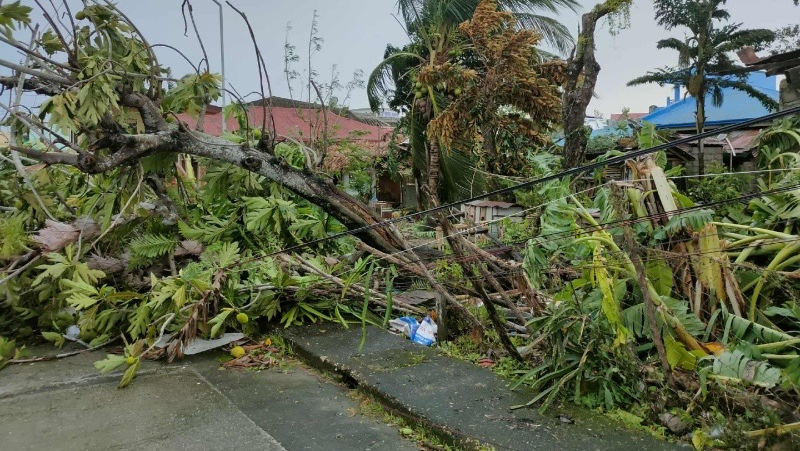 Help My Family Rebuild After Typhoon Opong photo