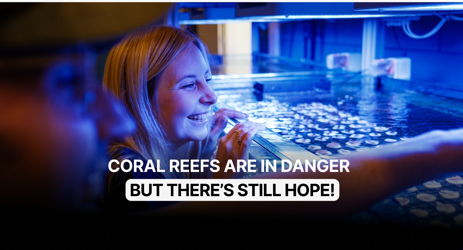 Help us save the Coral Reef! campaign photo, 2 of 5