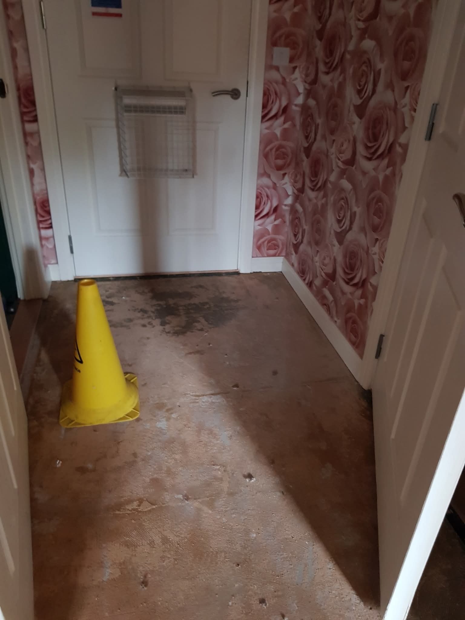 Help following water damage campaign photo, 6 of 7