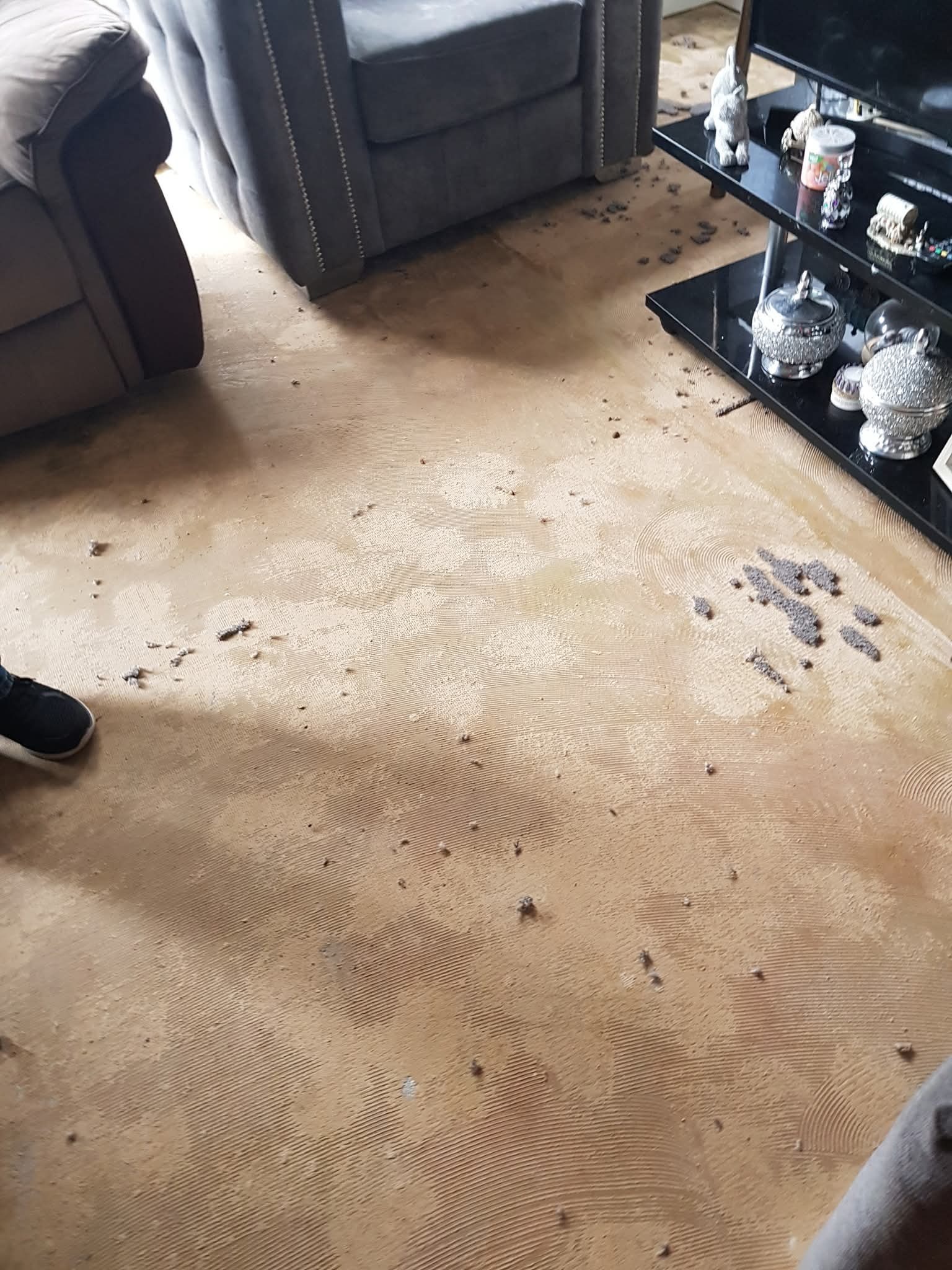 Help following water damage campaign photo, 2 of 7