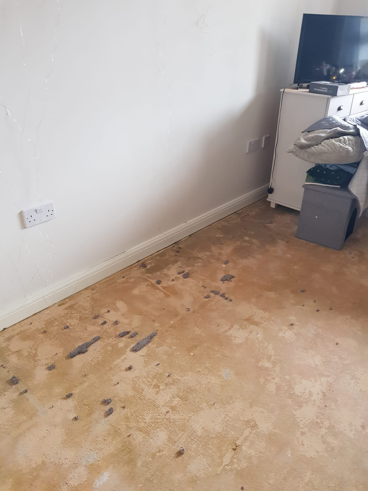 Help following water damage campaign photo, 4 of 7