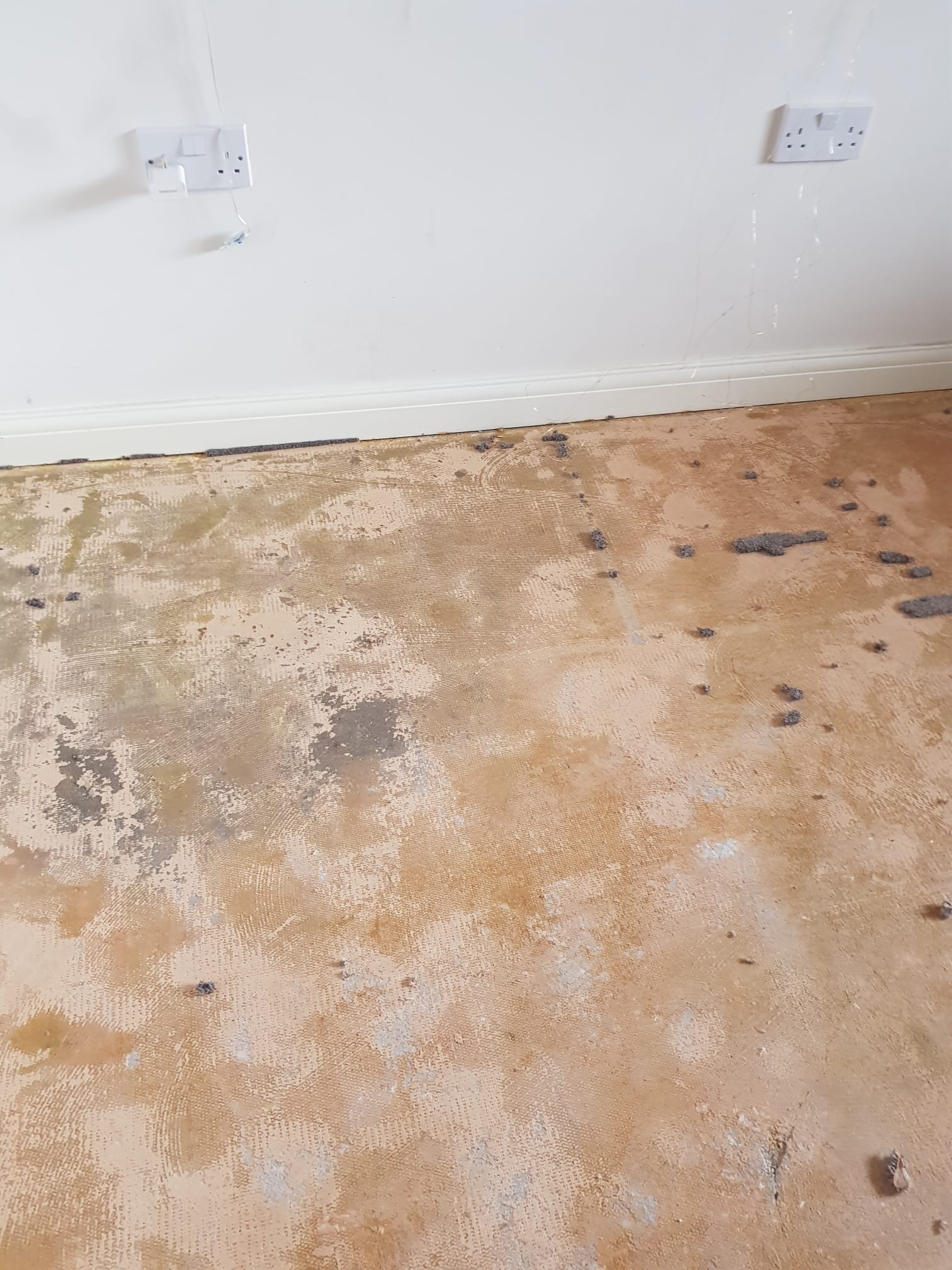 Help following water damage campaign photo, 5 of 7