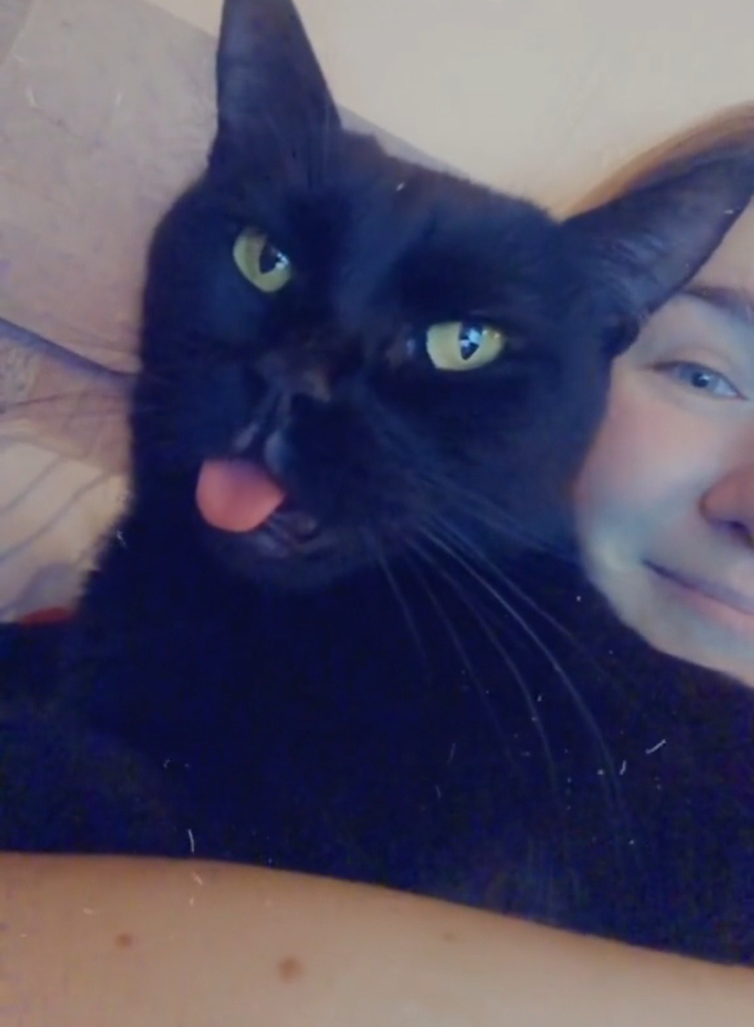 Please help Shnurik have many snuggles to come with his Mama campaign photo, 5 of 7
