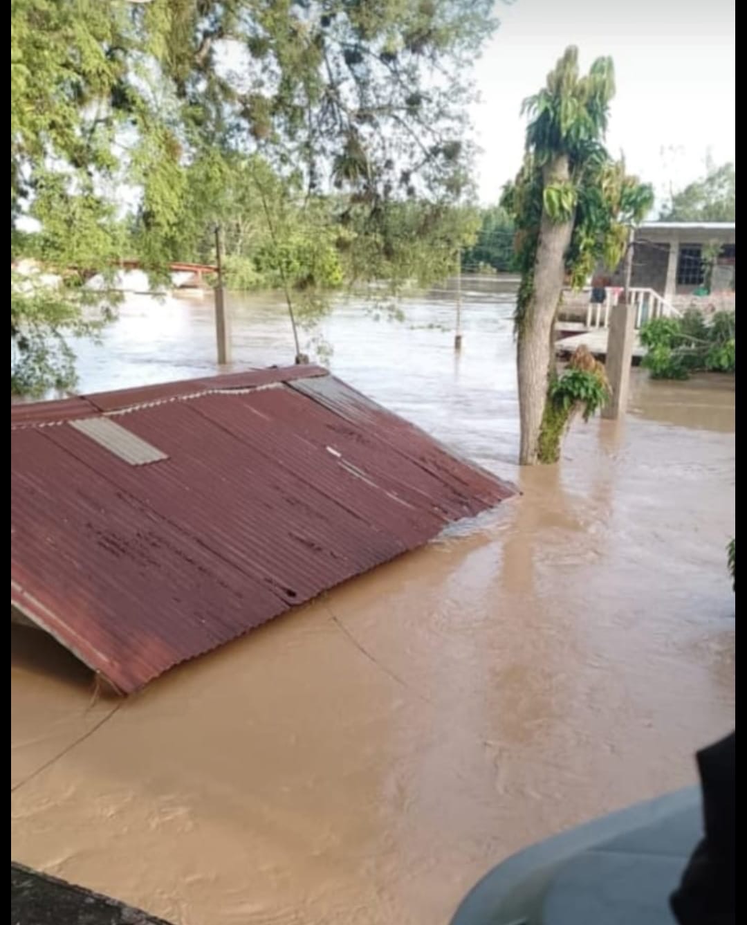 Limpieza y recuperación de hogares afectados en Tuxpan, Ver campaign photo, 7 of 8