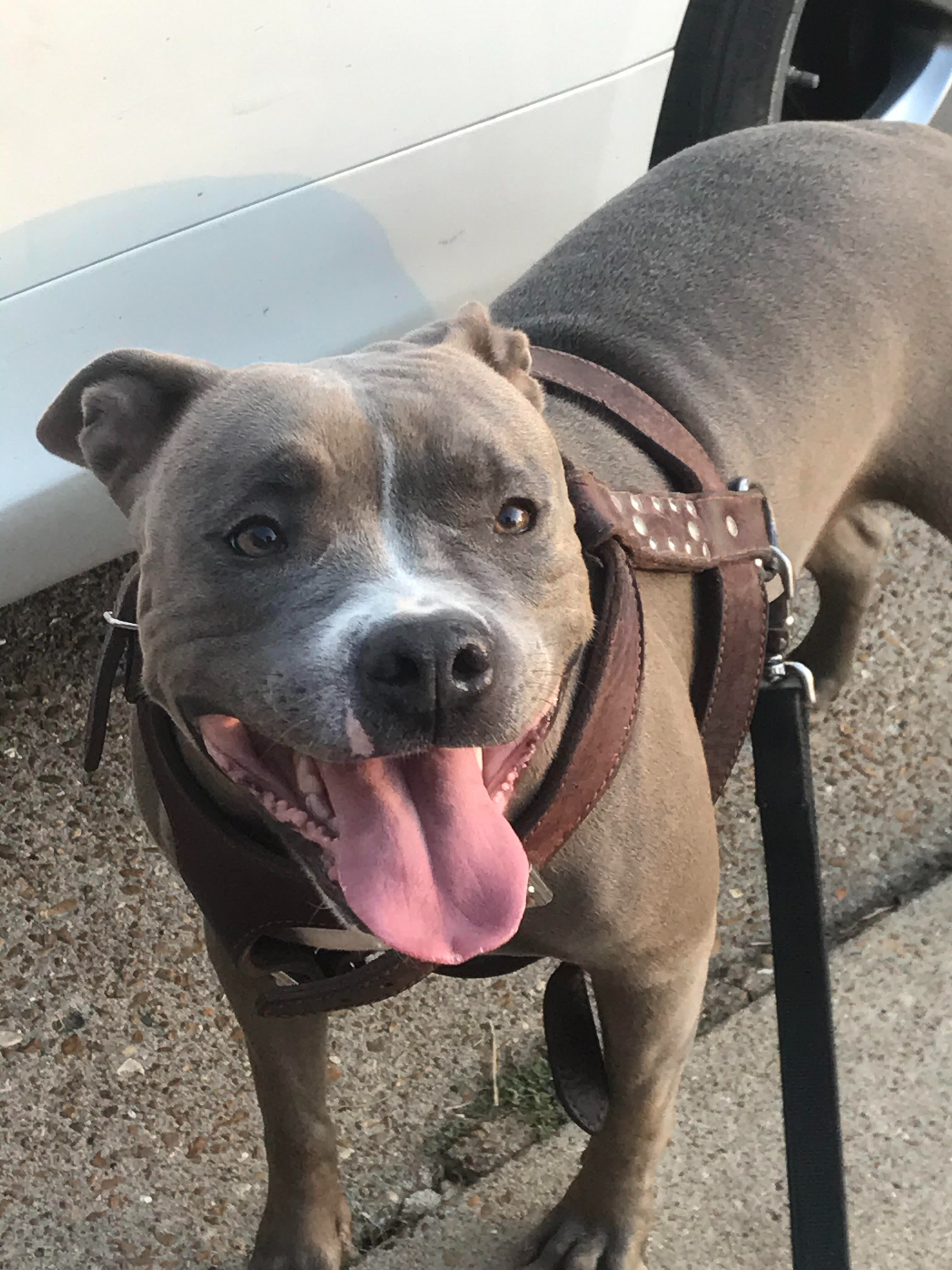 Save Princess: Urgent Cancer Surgery Needed campaign photo, 2 of 4