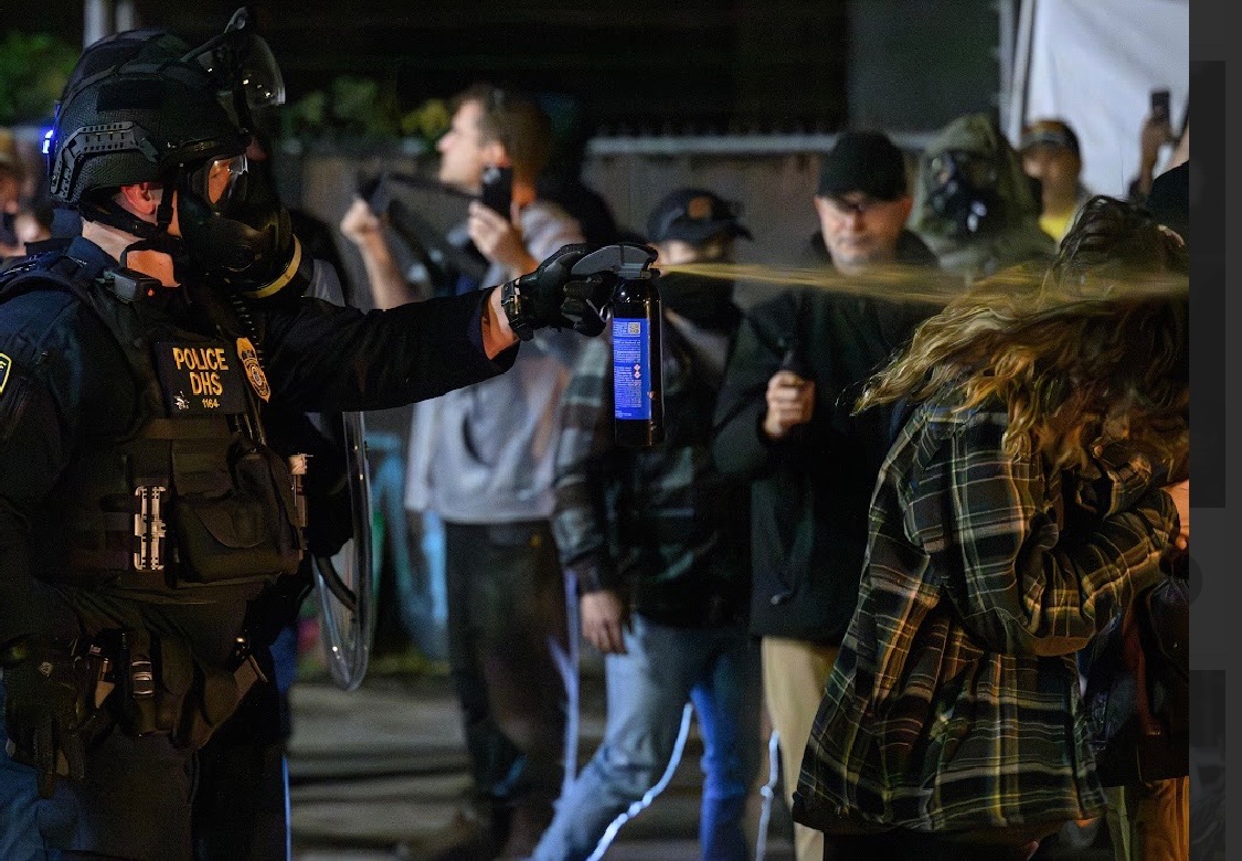 User-uploaded image 1