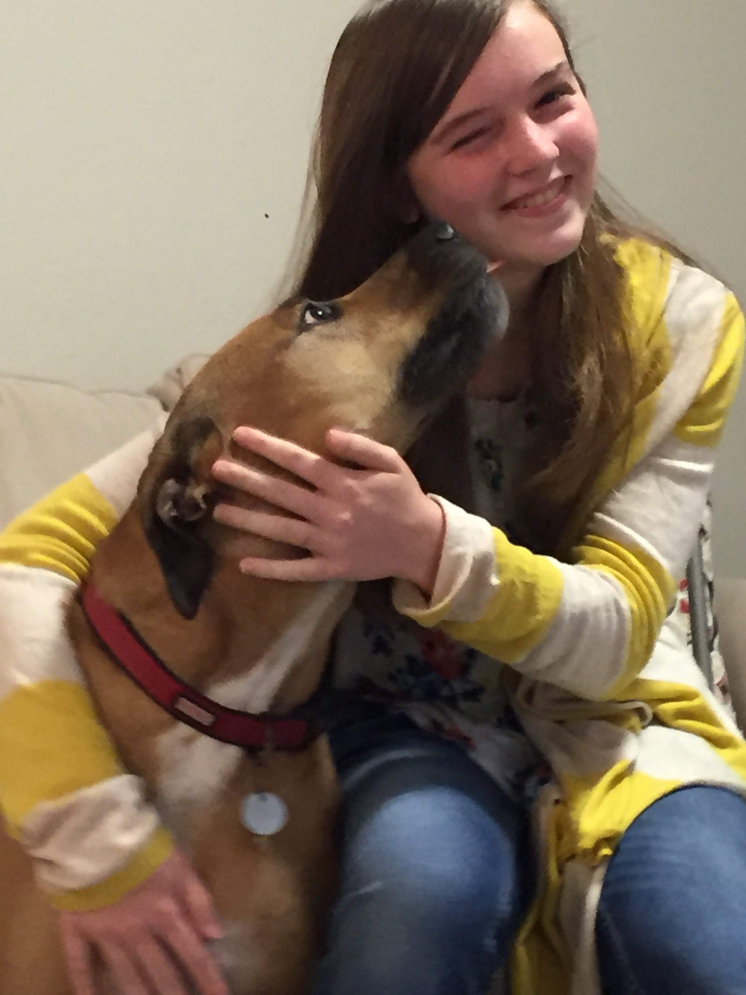 Help Daisy Get Tumor Removal Surgery campaign photo, 7 of 8